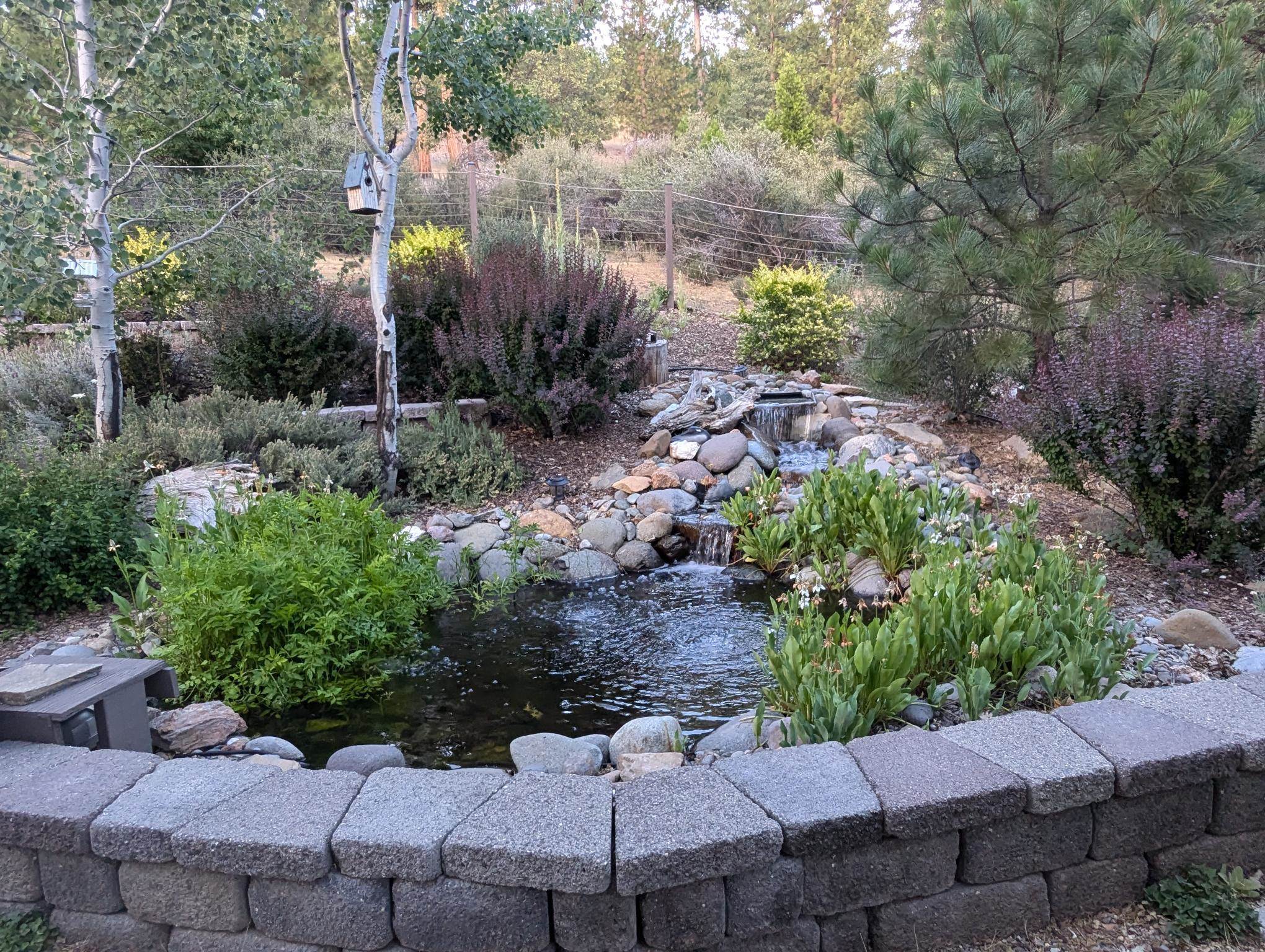 566 Main Ranch Road, Quincy, California image 9