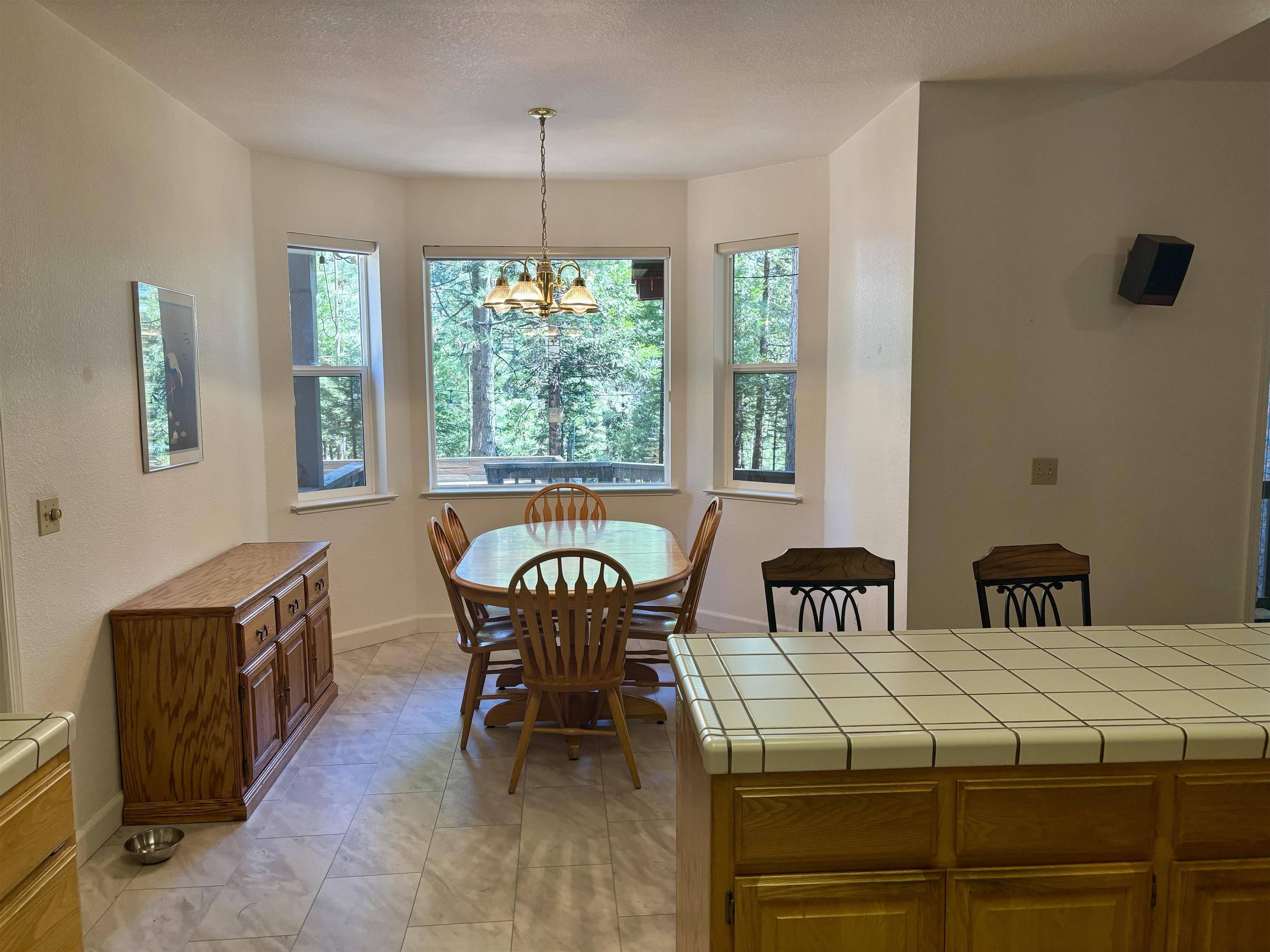 1004 Timber Ridge Road, Lake Almanor, Ohio image 4