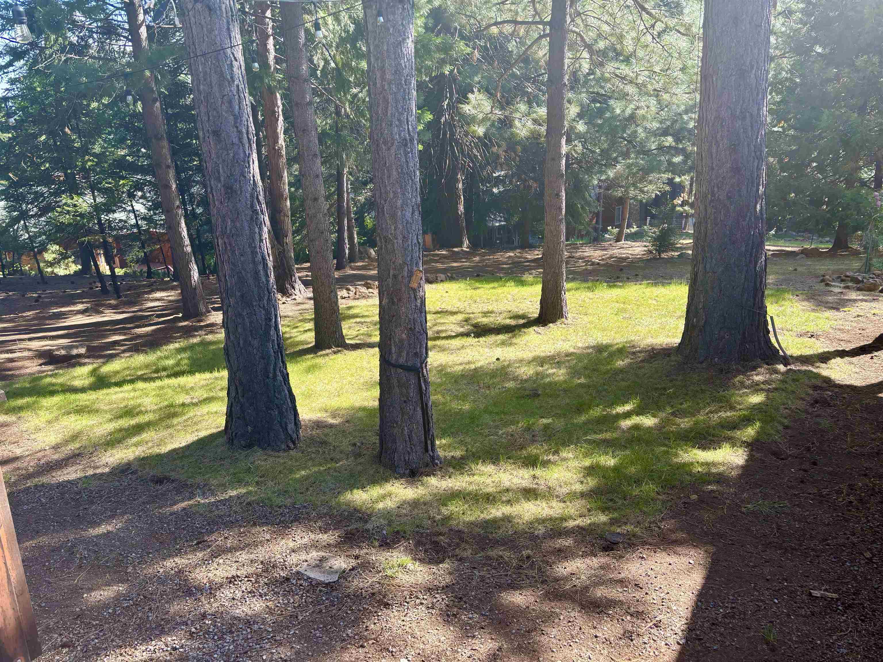 1004 Timber Ridge Road, Lake Almanor, Ohio image 18