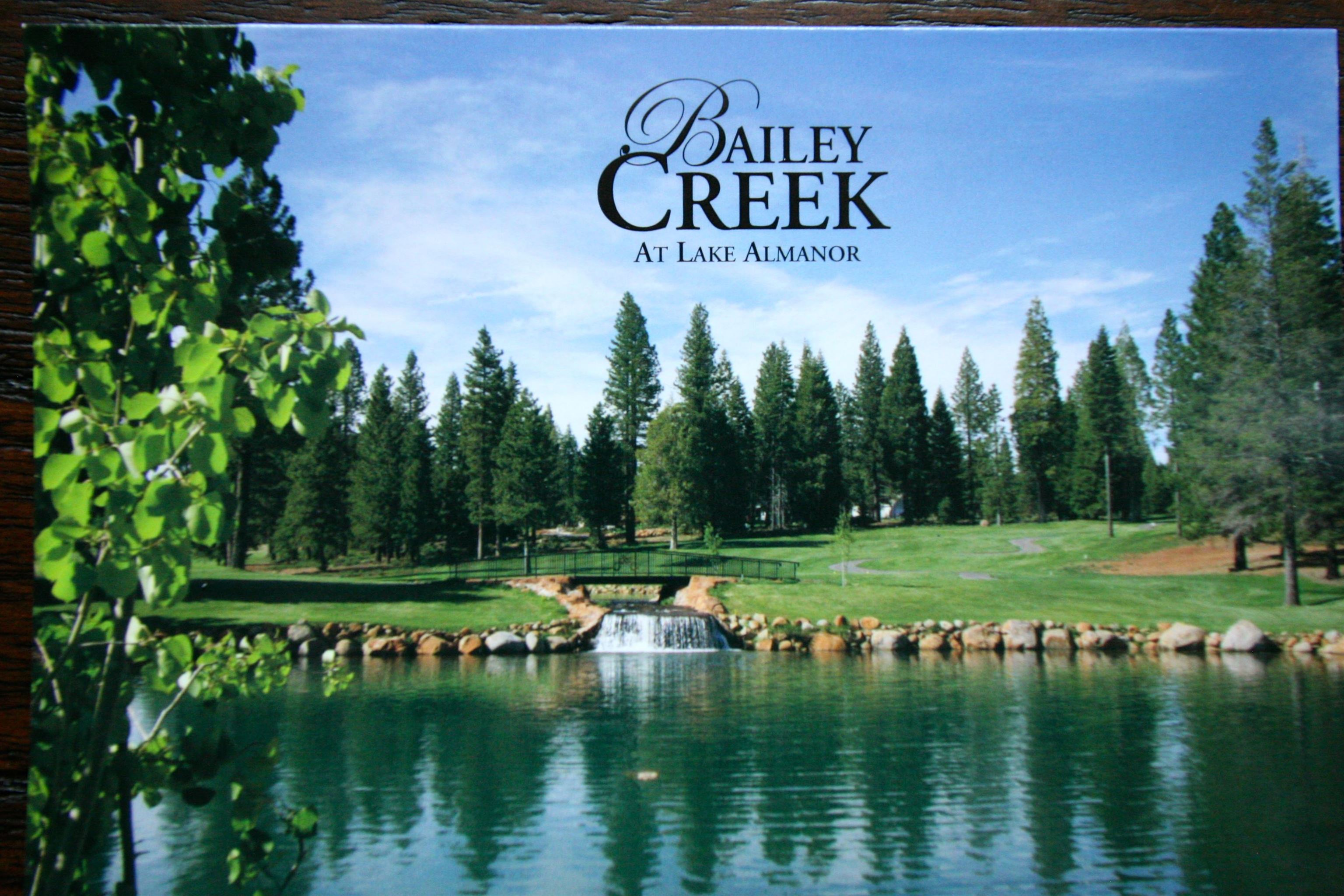 586 Bailey Creek Drive, Lake Almanor, New Mexico image 4