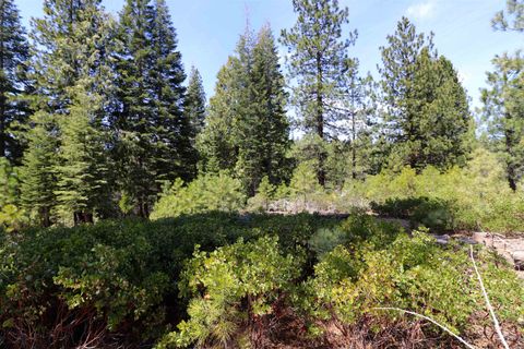 Vacant Land For Sale - 586 Bailey Creek Drive<br/> Plumas County, Lake Almanor, CA 96137