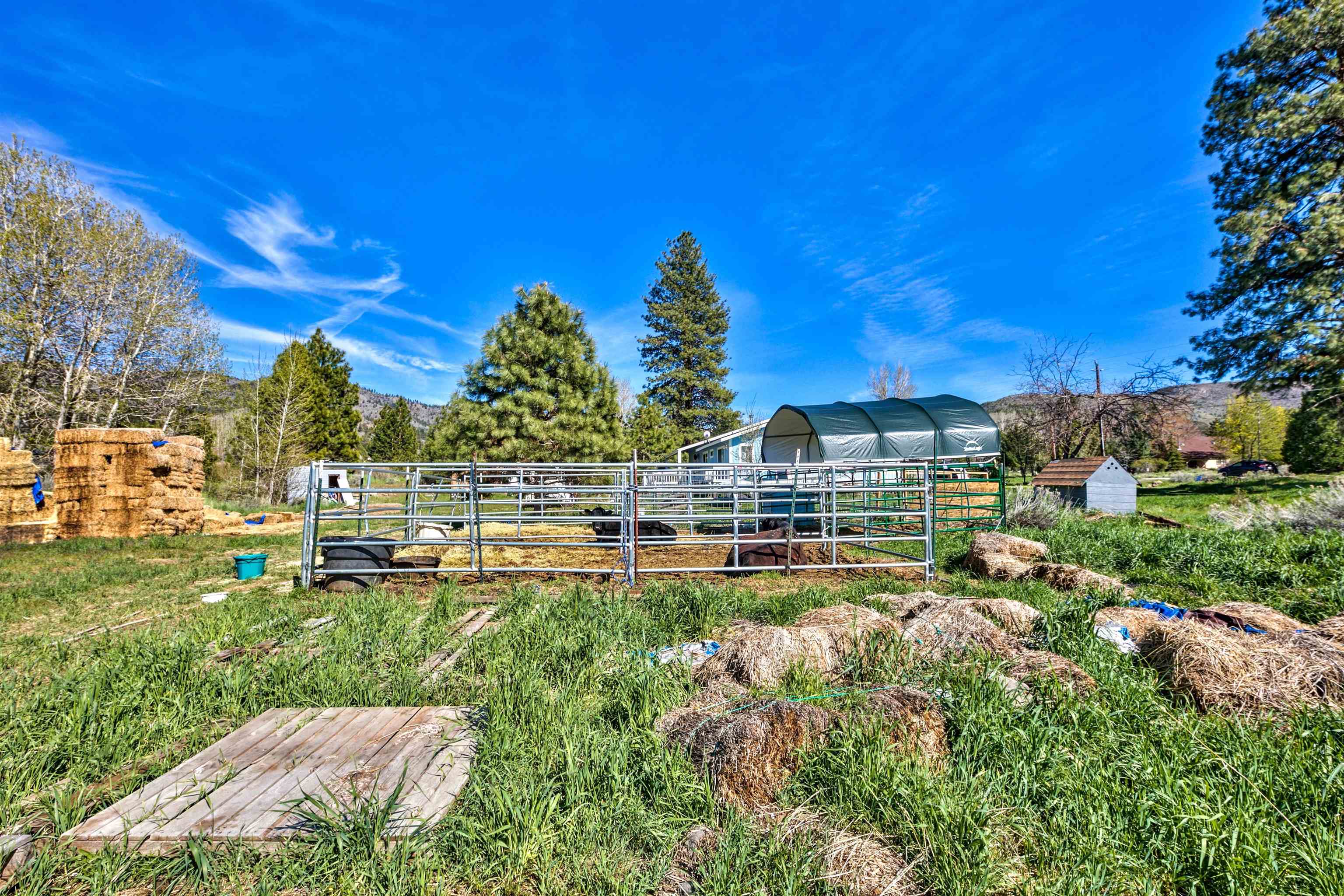 514 Longhorn Drive, Loyalton, California image 14