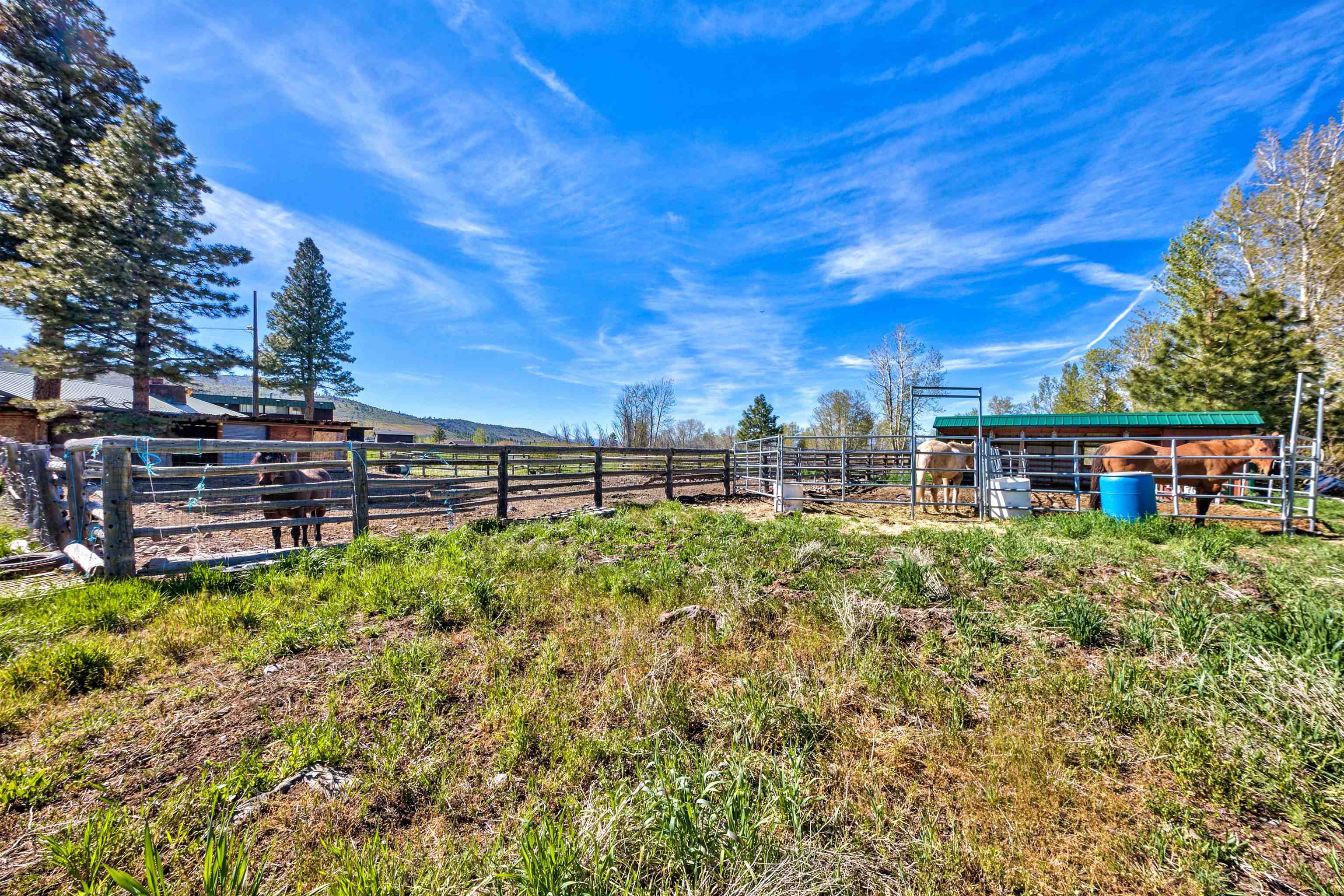 514 Longhorn Drive, Loyalton, California image 12