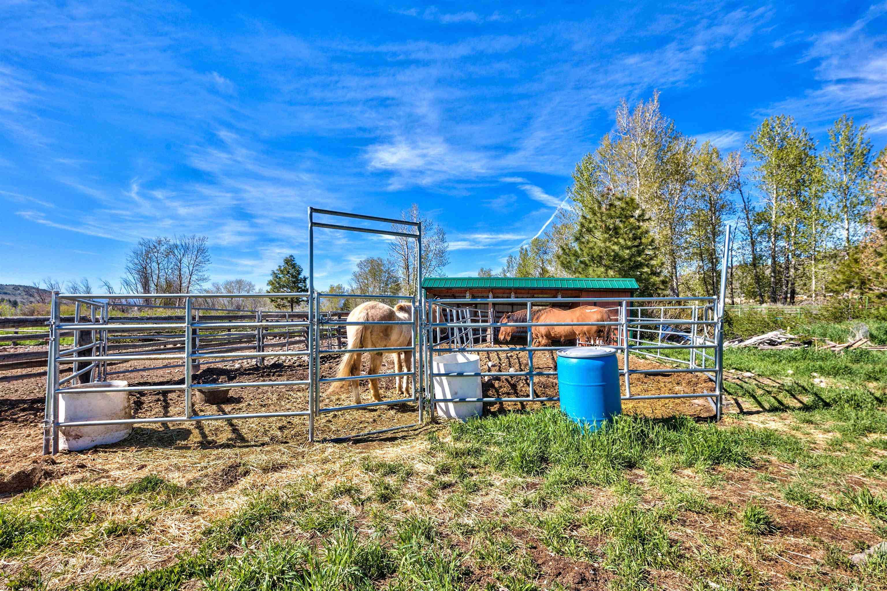 514 Longhorn Drive, Loyalton, California image 13