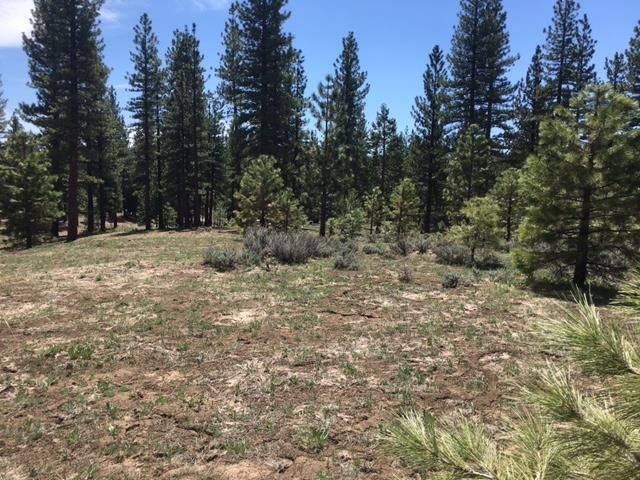157 Arrowleaf Road, Portola, New Mexico image 2