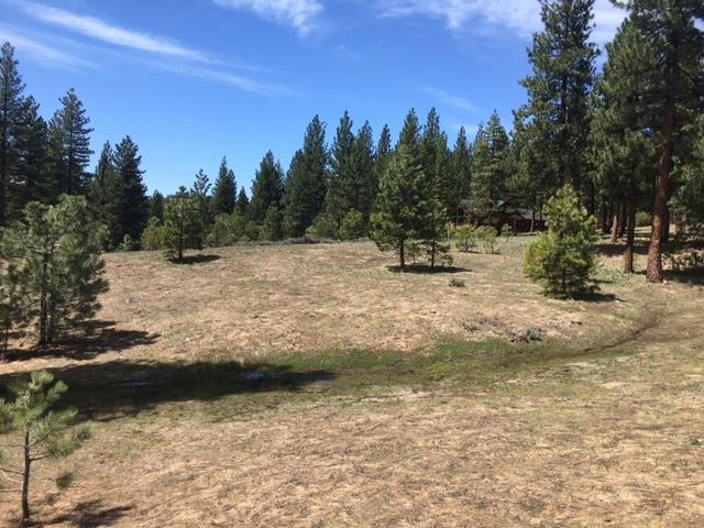 157 Arrowleaf Road, Portola, New Mexico image 5