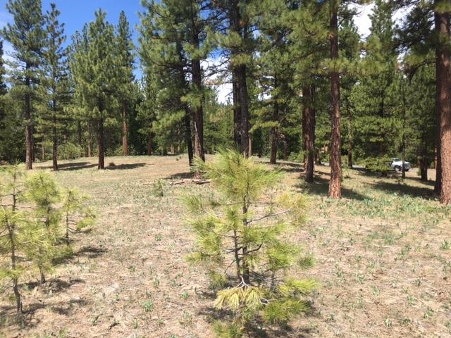 157 Arrowleaf Road, Portola, New Mexico image 4