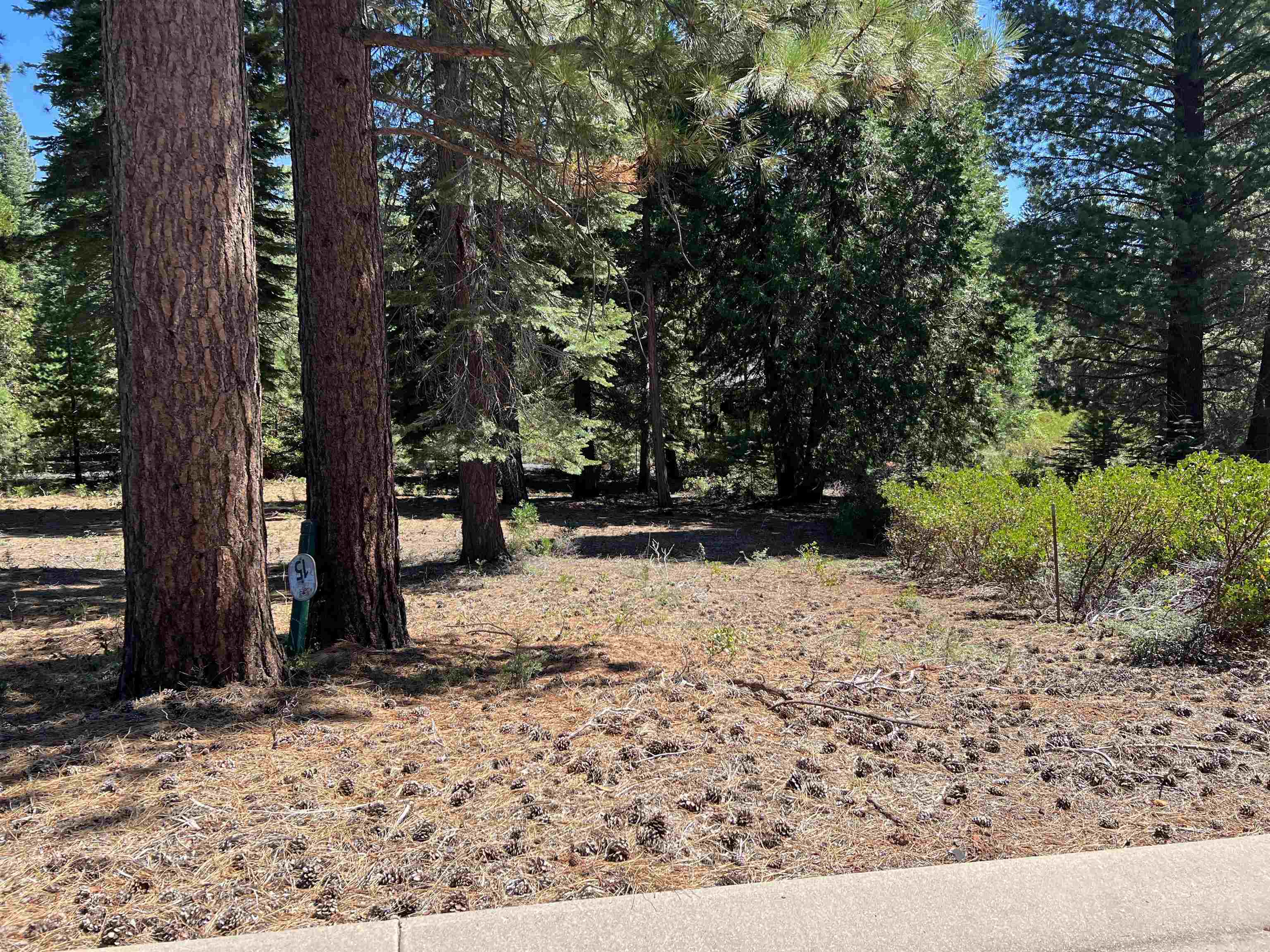 Lake Almanor, California 96137, United States, ,Land,Active,154483