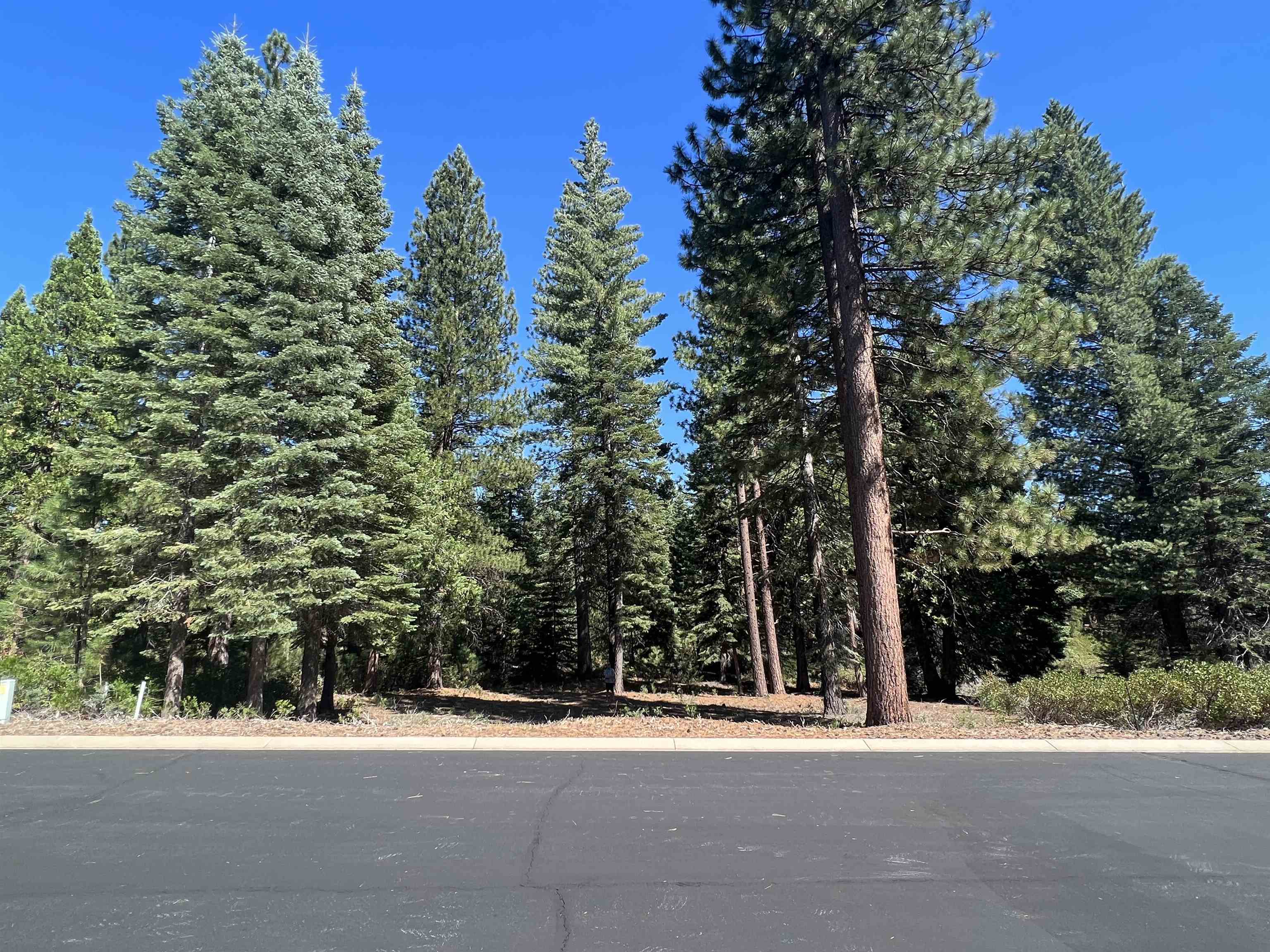 Lake Almanor, California 96137, United States, ,Land,Active,154483