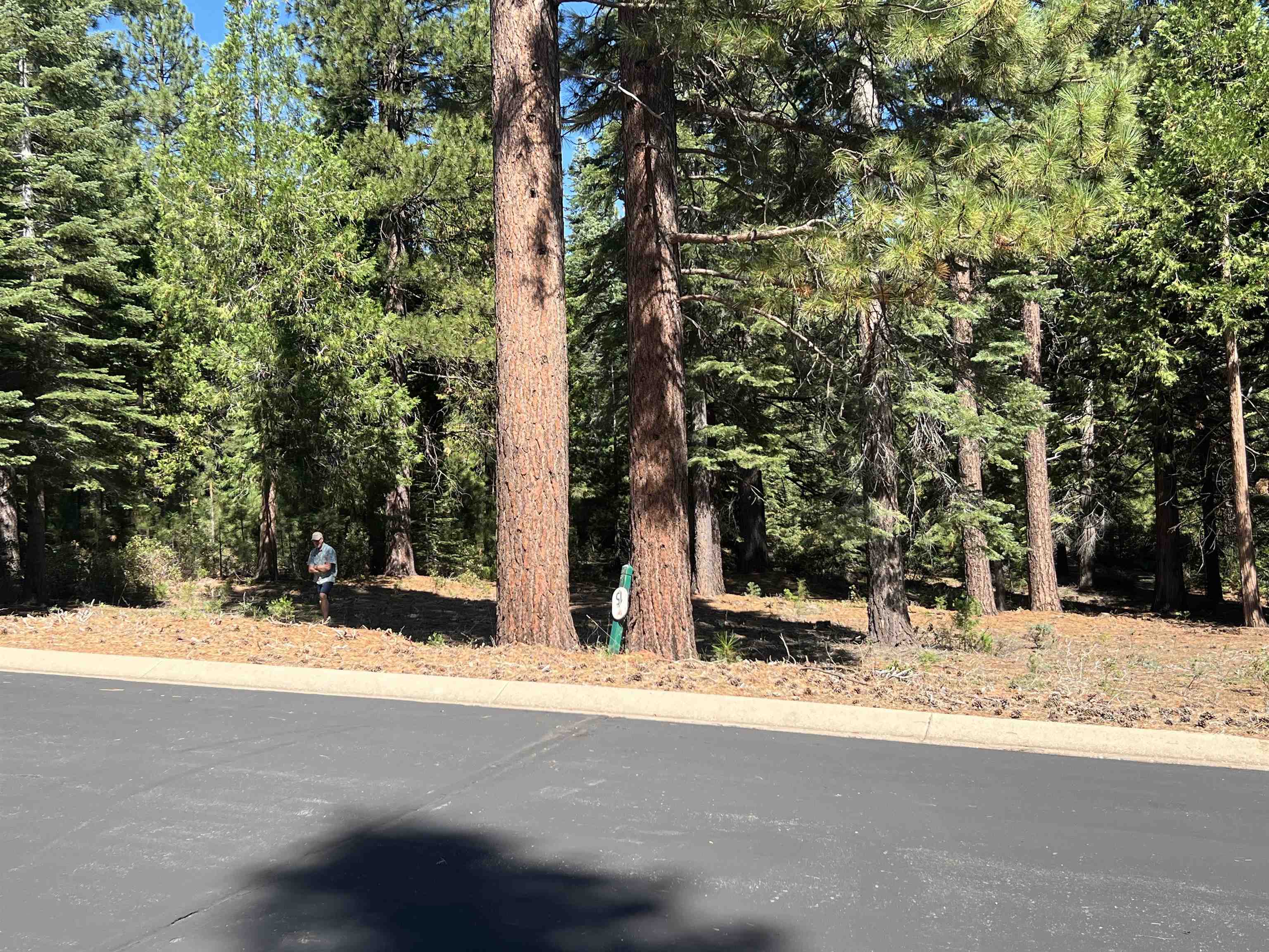 Lake Almanor, California 96137, United States, ,Land,Active,154483