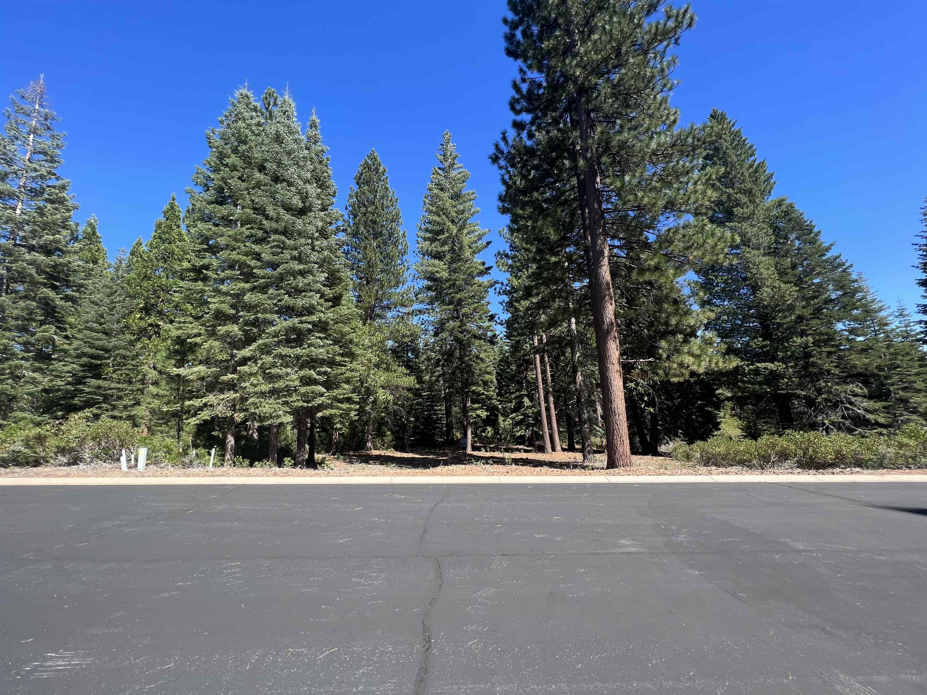 Lake Almanor, California 96137, United States, ,Land,Active,154483