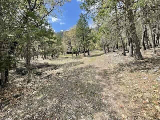 1771 Diamond Mountain Road, Greenville, New Mexico image 19