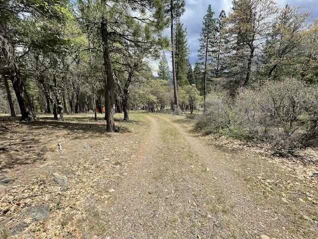 1771 Diamond Mountain Road, Greenville, New Mexico image 18