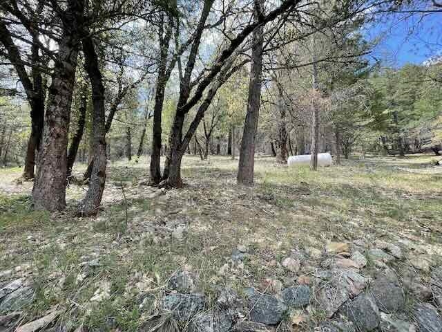 1771 Diamond Mountain Road, Greenville, New Mexico image 17
