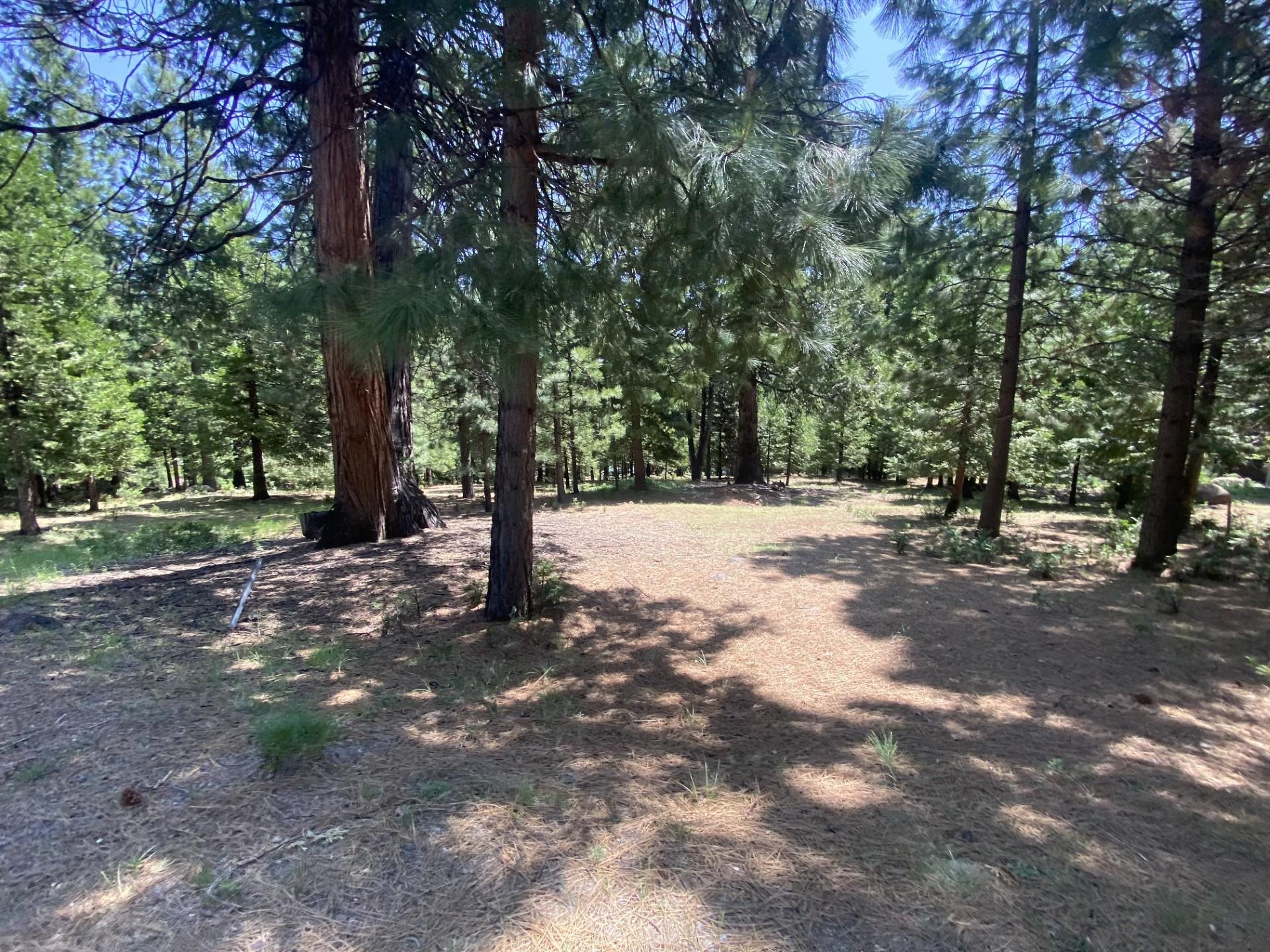 1018 Timber Ridge Road, Lake Almanor, Ohio image 2