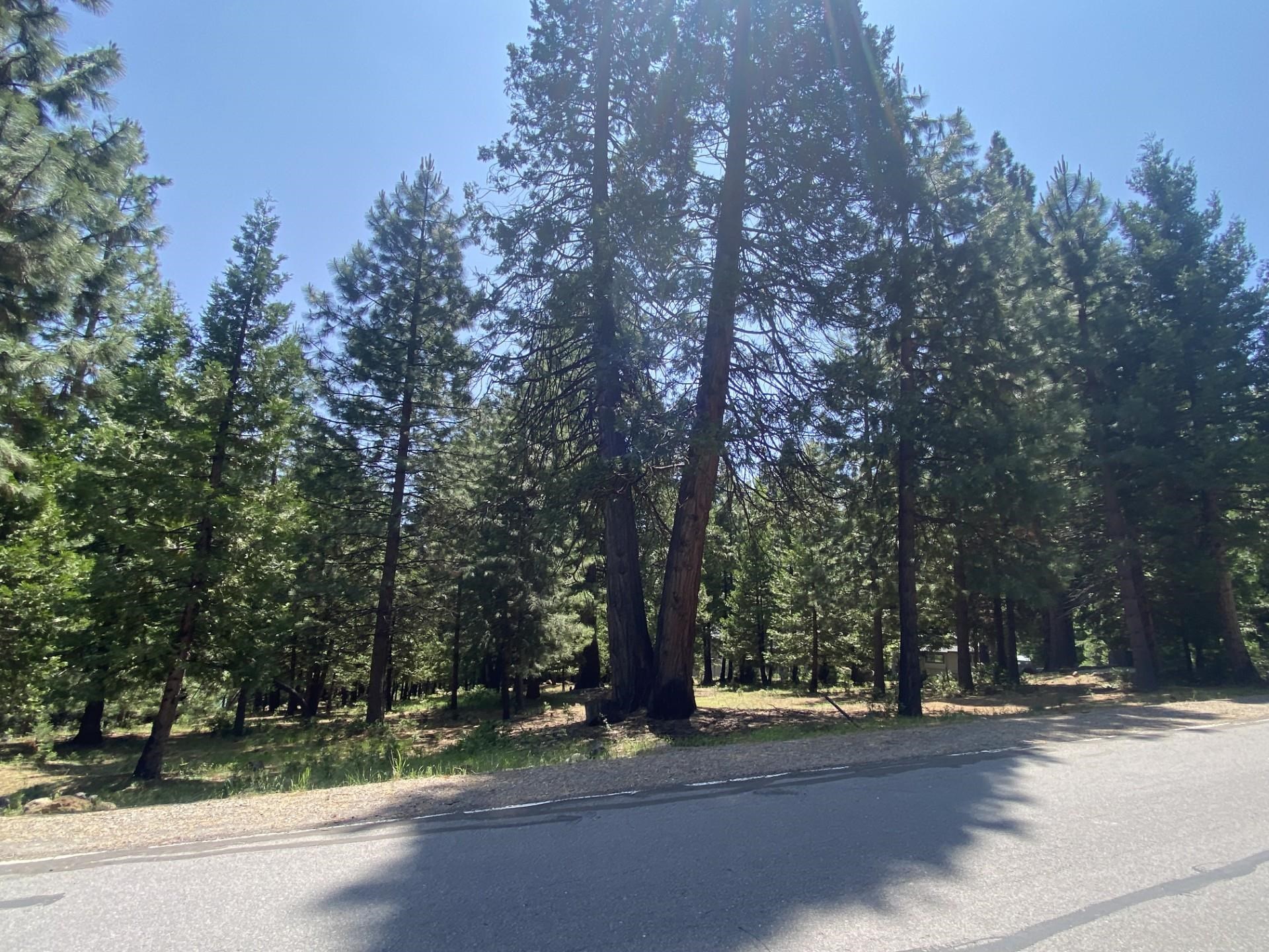 1018 Timber Ridge Road, Lake Almanor, Ohio image 3