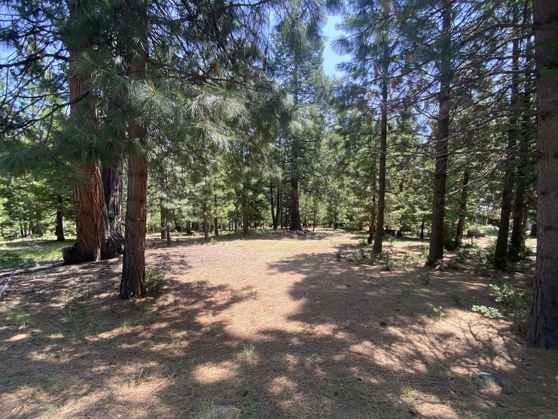 1018 Timber Ridge Road, Lake Almanor, Ohio image 1
