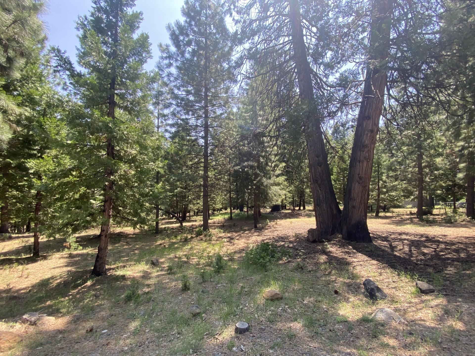 1018 Timber Ridge Road, Lake Almanor, Ohio image 4