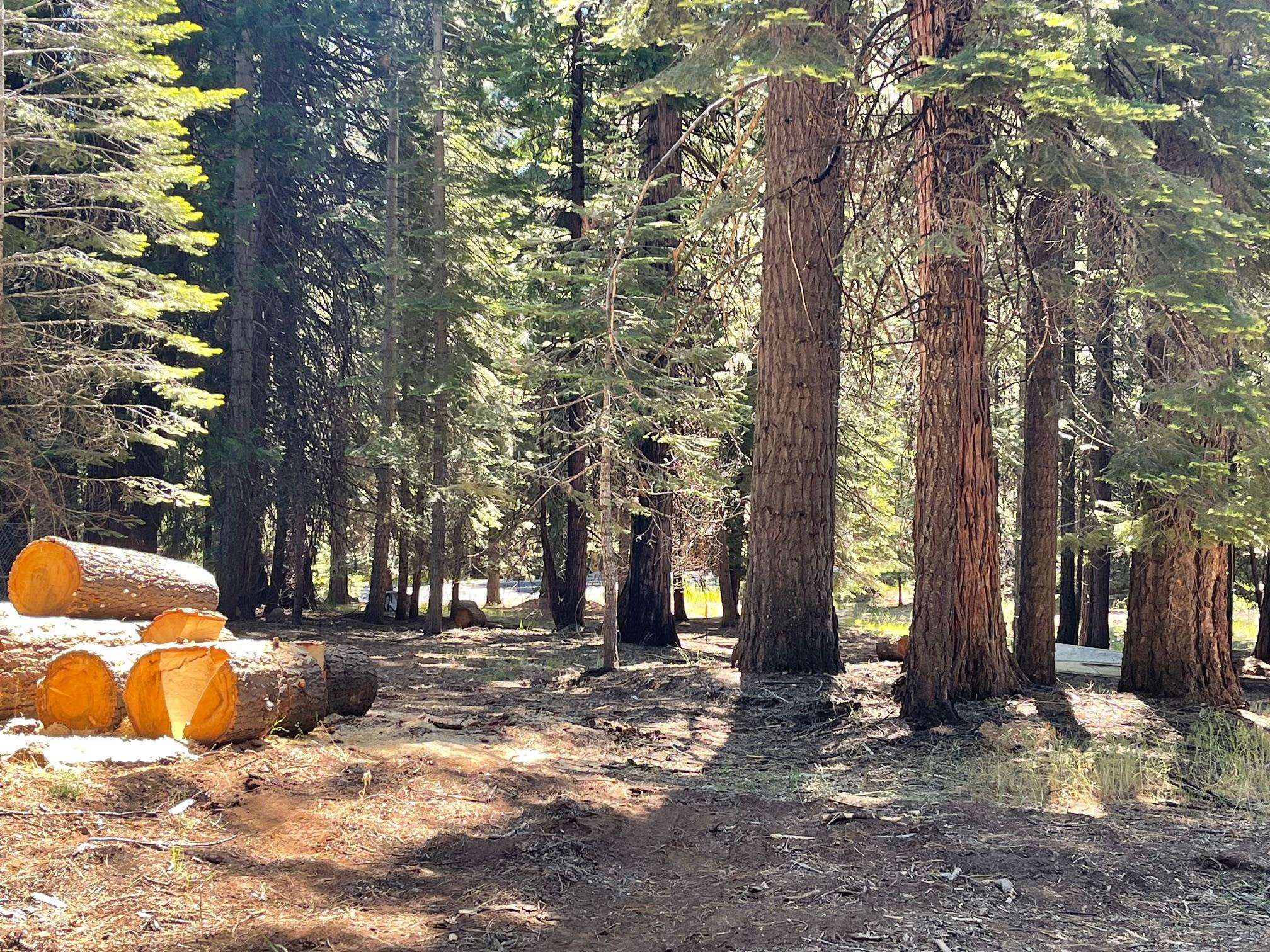 1134 Lake Ridge Road, Lake Almanor, Ohio image 2