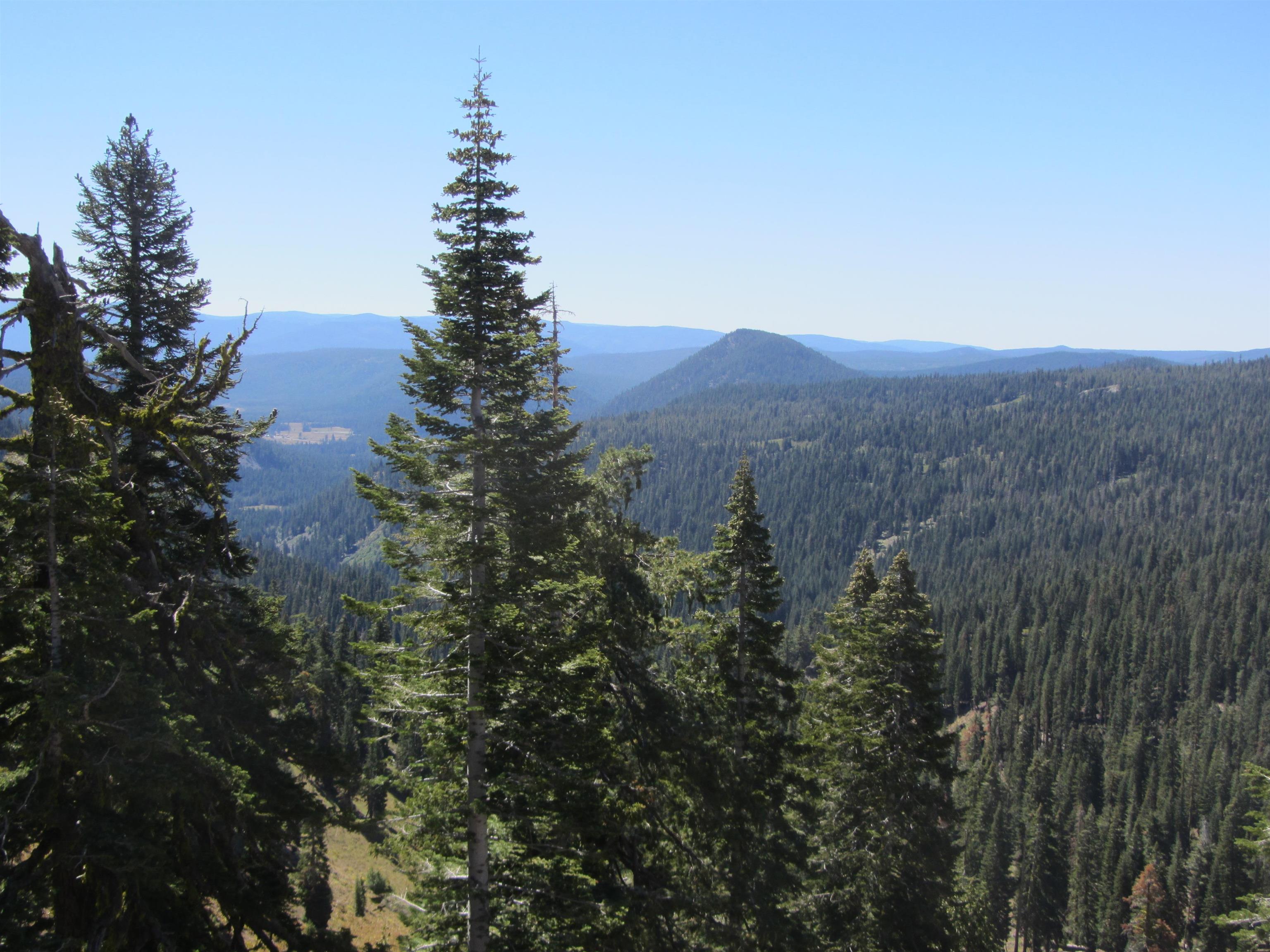 115 Lake Almanor West Drive, Chesterfield, California image 29