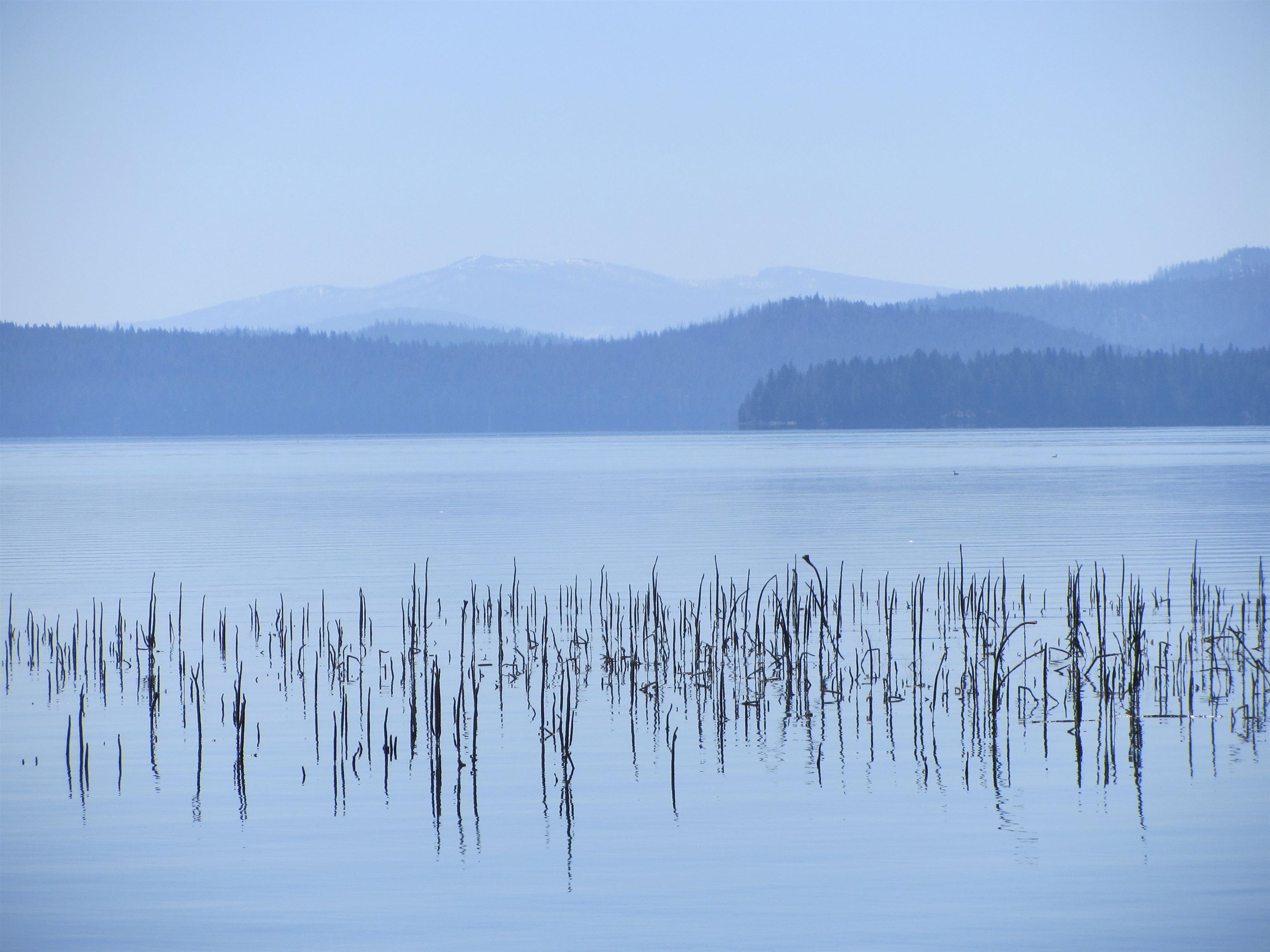 115 Lake Almanor West Drive, Chesterfield, California image 16