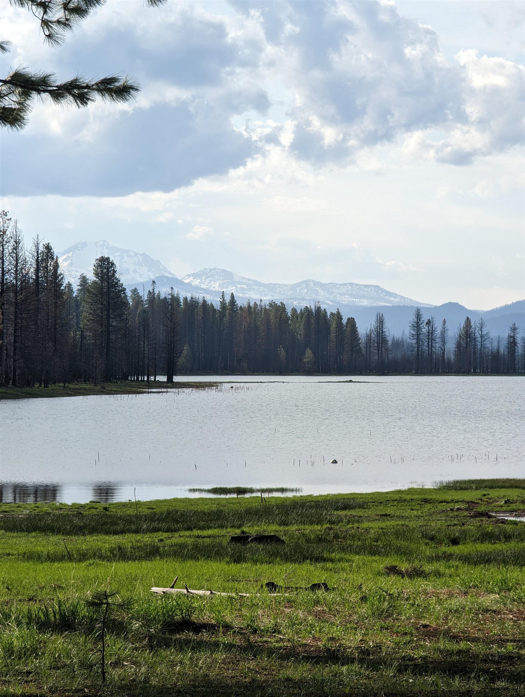 115 Lake Almanor West Drive, Chesterfield, California image 25
