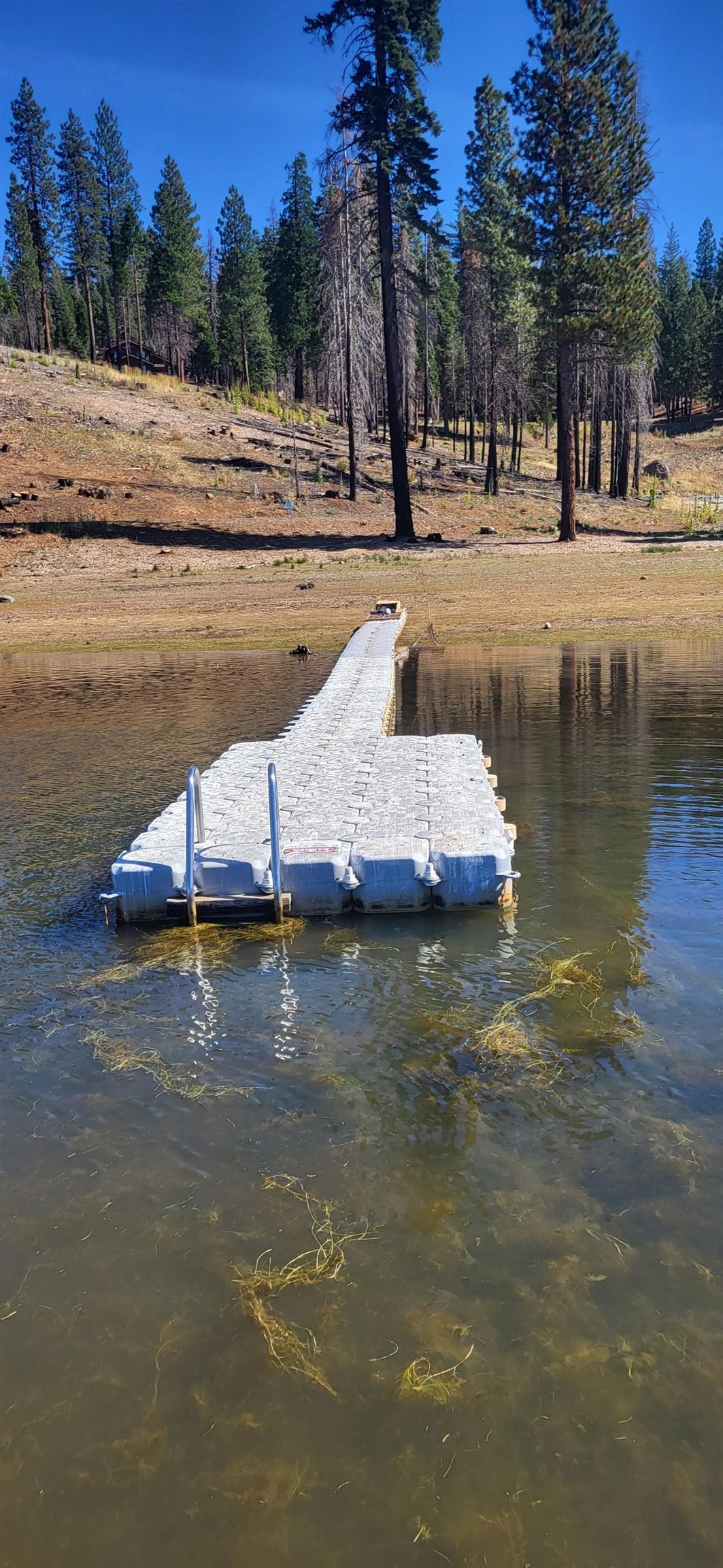 115 Lake Almanor West Drive, Chesterfield, California image 5
