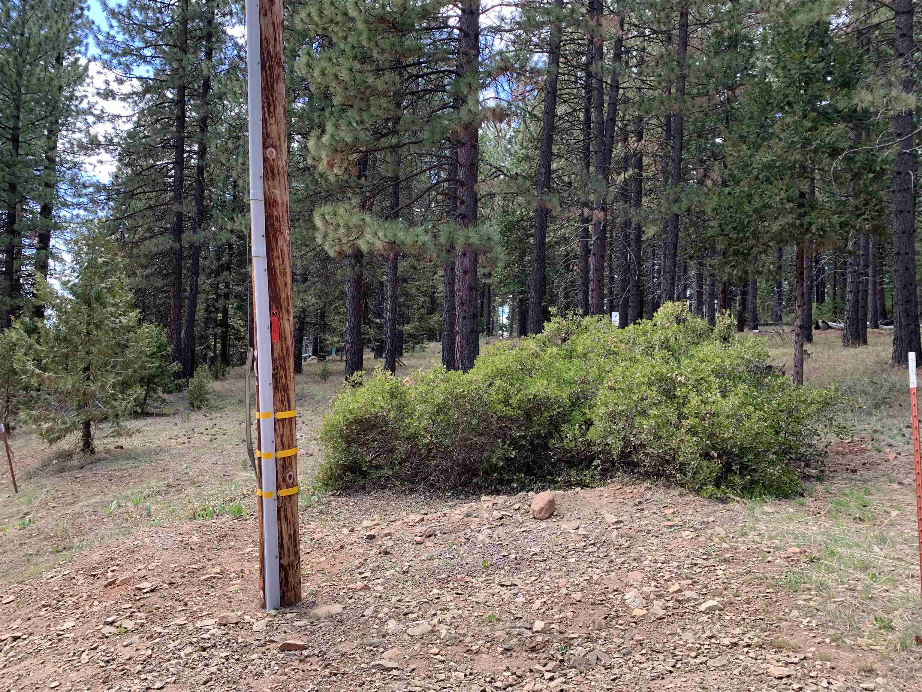 6499 Salem Road, Lake Almanor, New Mexico image 2