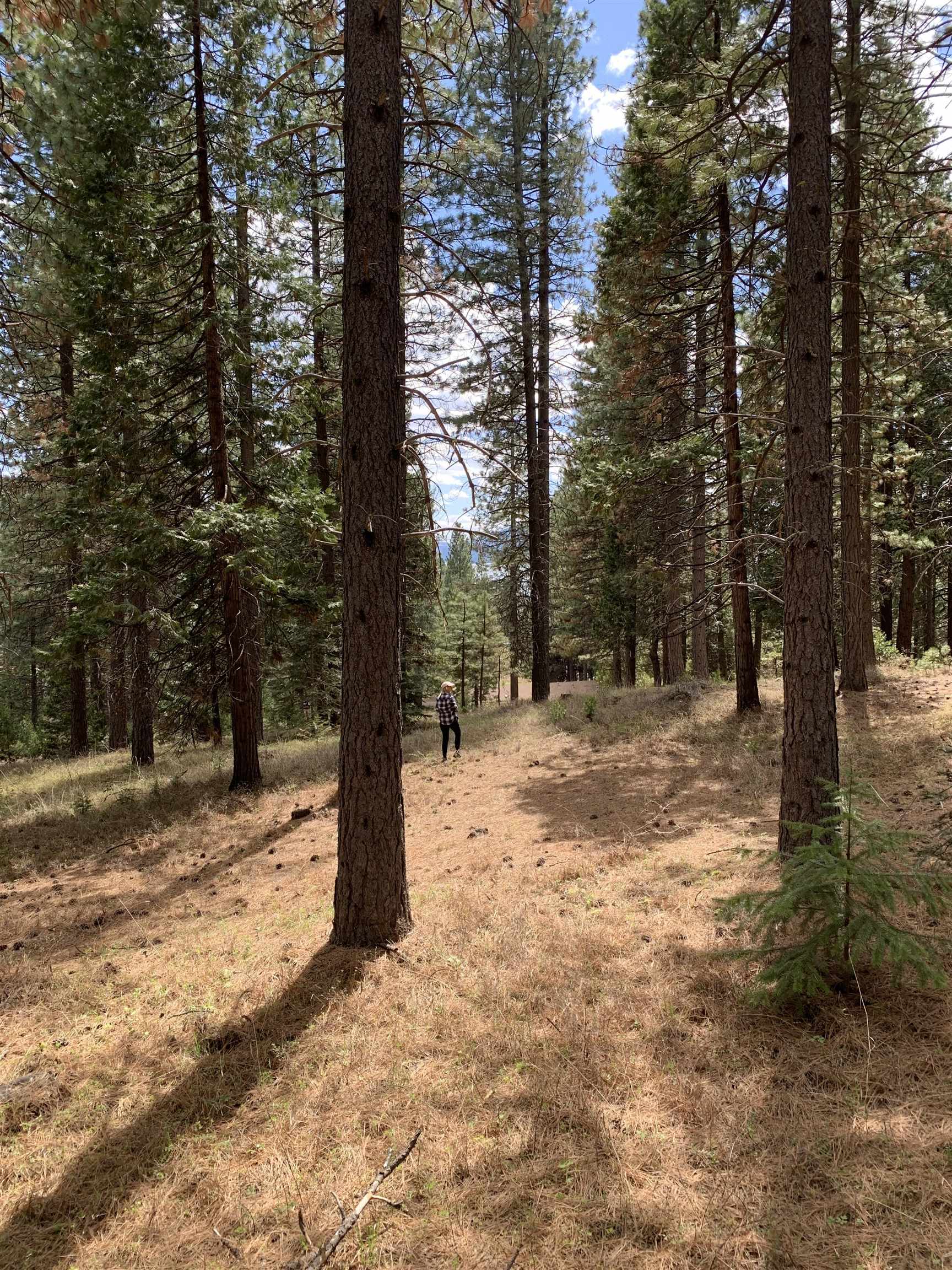 6499 Salem Road, Lake Almanor, New Mexico image 4