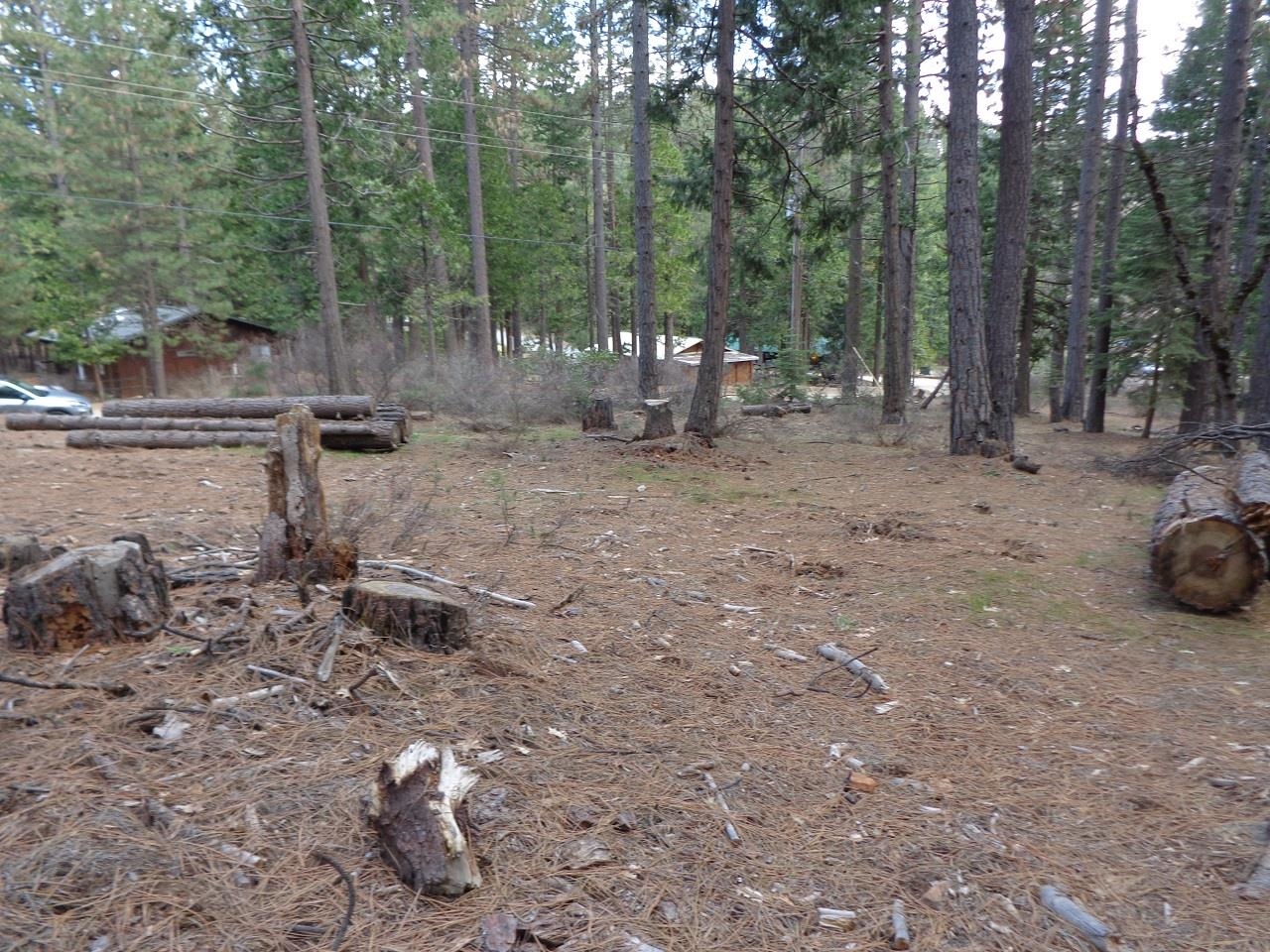 2045 Red Bluff Trail, Quincy, California image 3