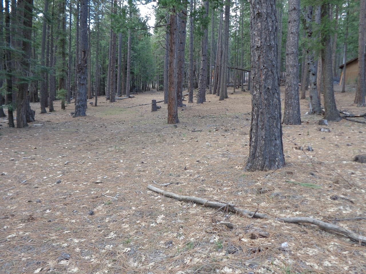 2045 Red Bluff Trail, Quincy, California image 6