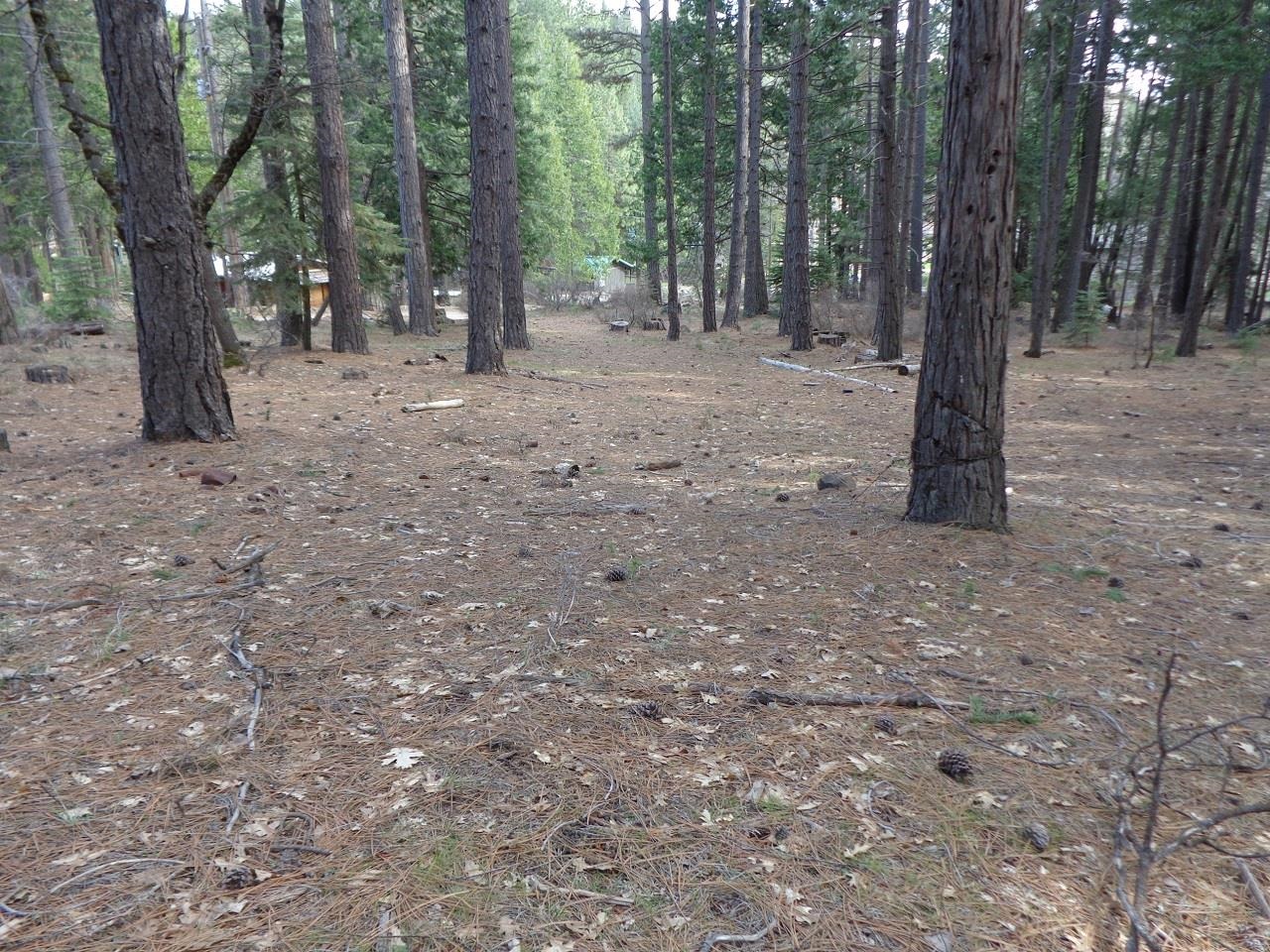 2045 Red Bluff Trail, Quincy, California image 5
