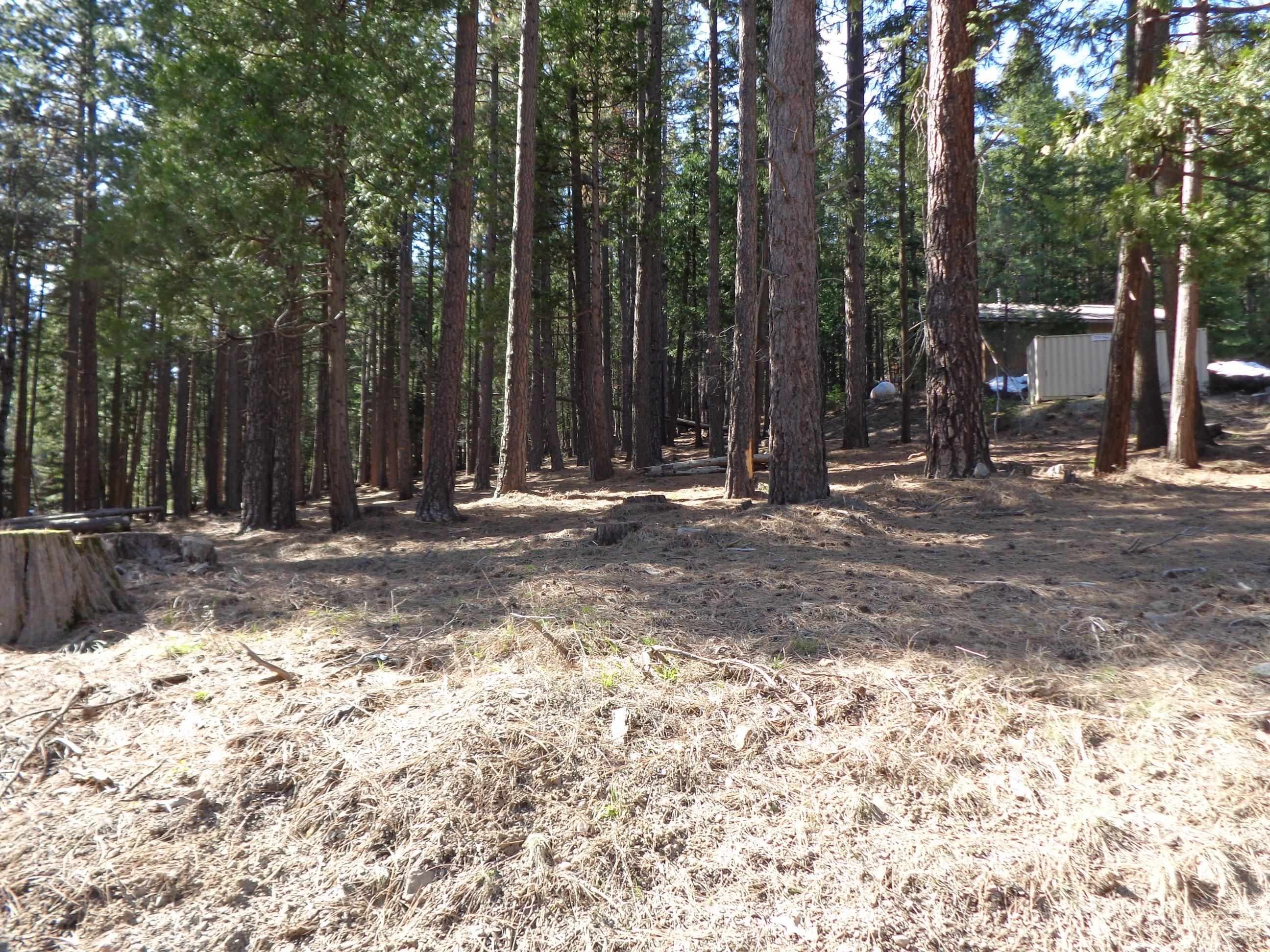 2045 Red Bluff Trail, Quincy, California image 2
