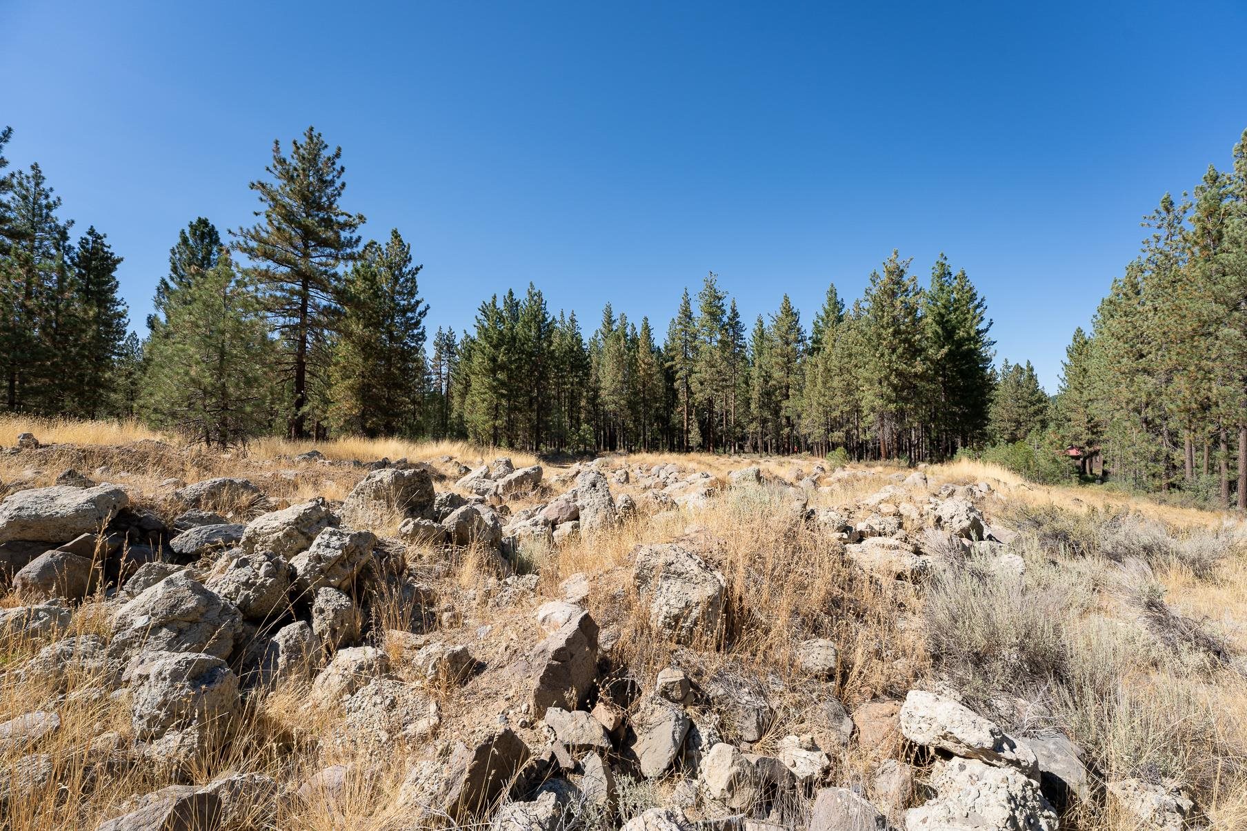 550 Second Street, Portola, California image 1