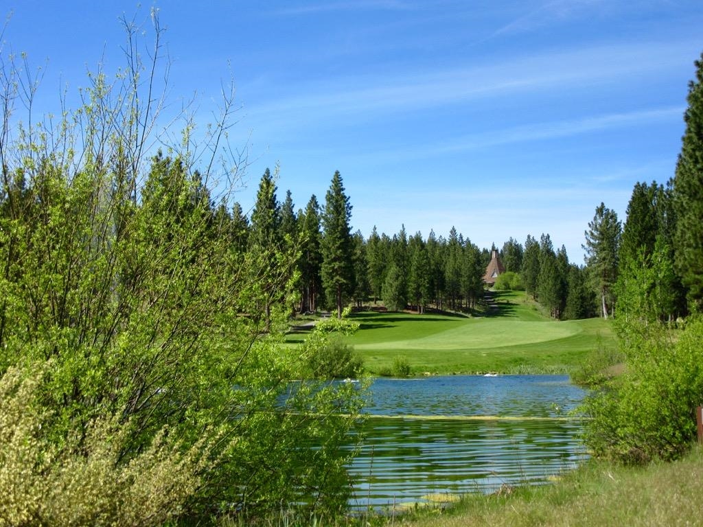 585 Clouds Rest, Portola, Ohio image 27