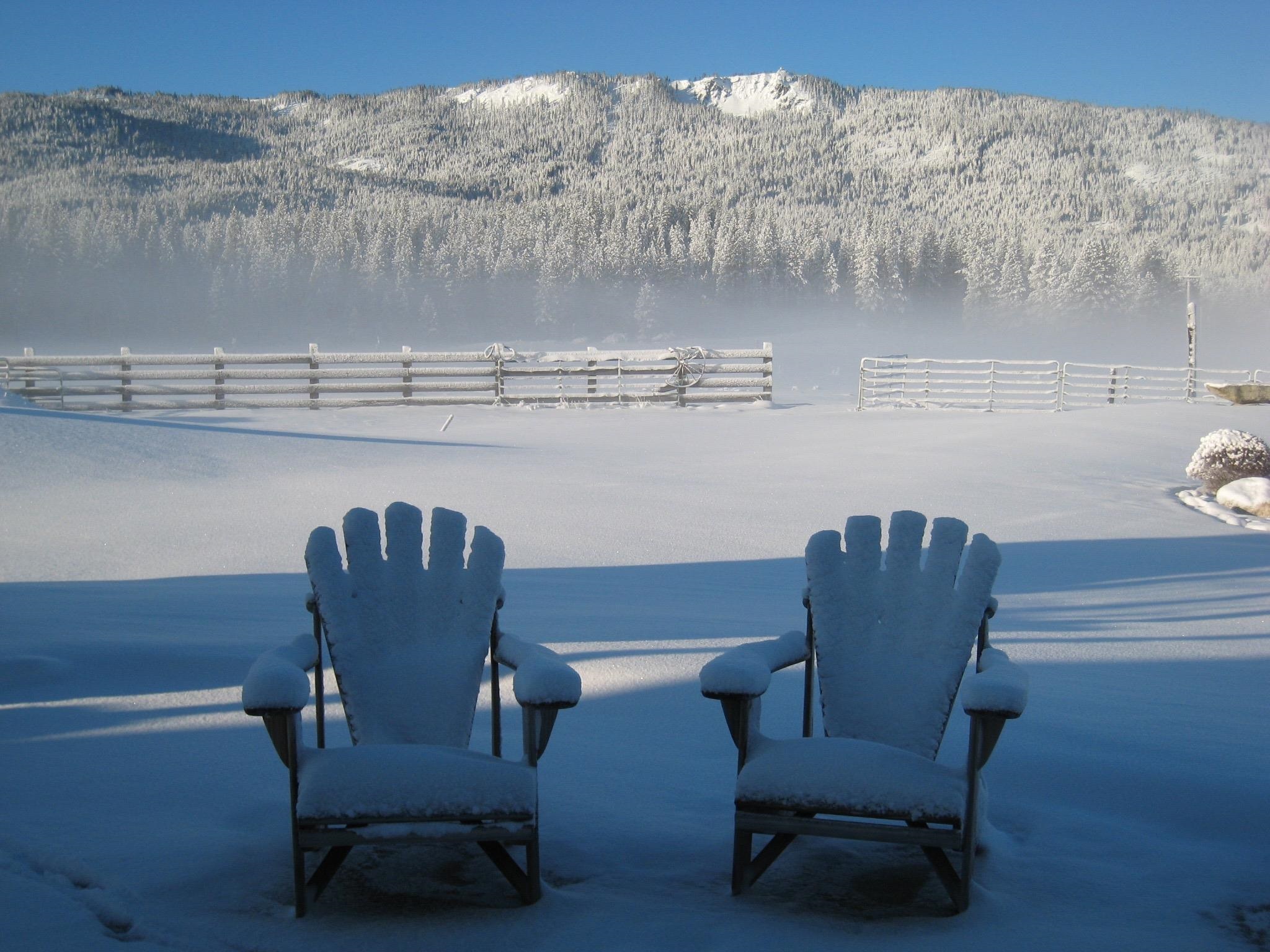 585 Clouds Rest, Portola, Ohio image 41