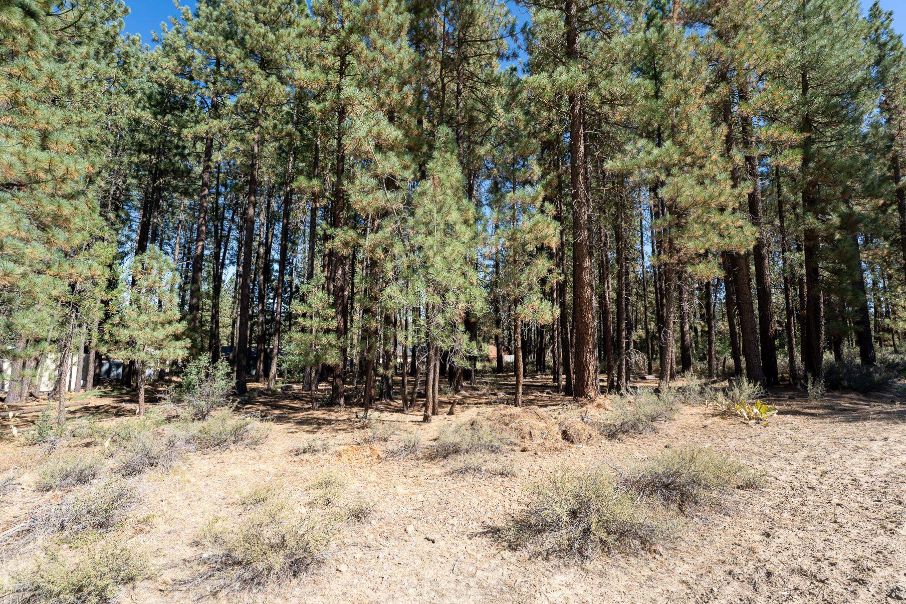 149 Otter Way, Portola, California image 1