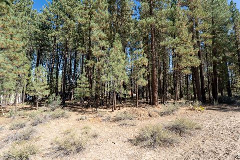Vacant Land For Sale - 149 Otter Way Way<br/> Plumas County, Portola, CA 96122