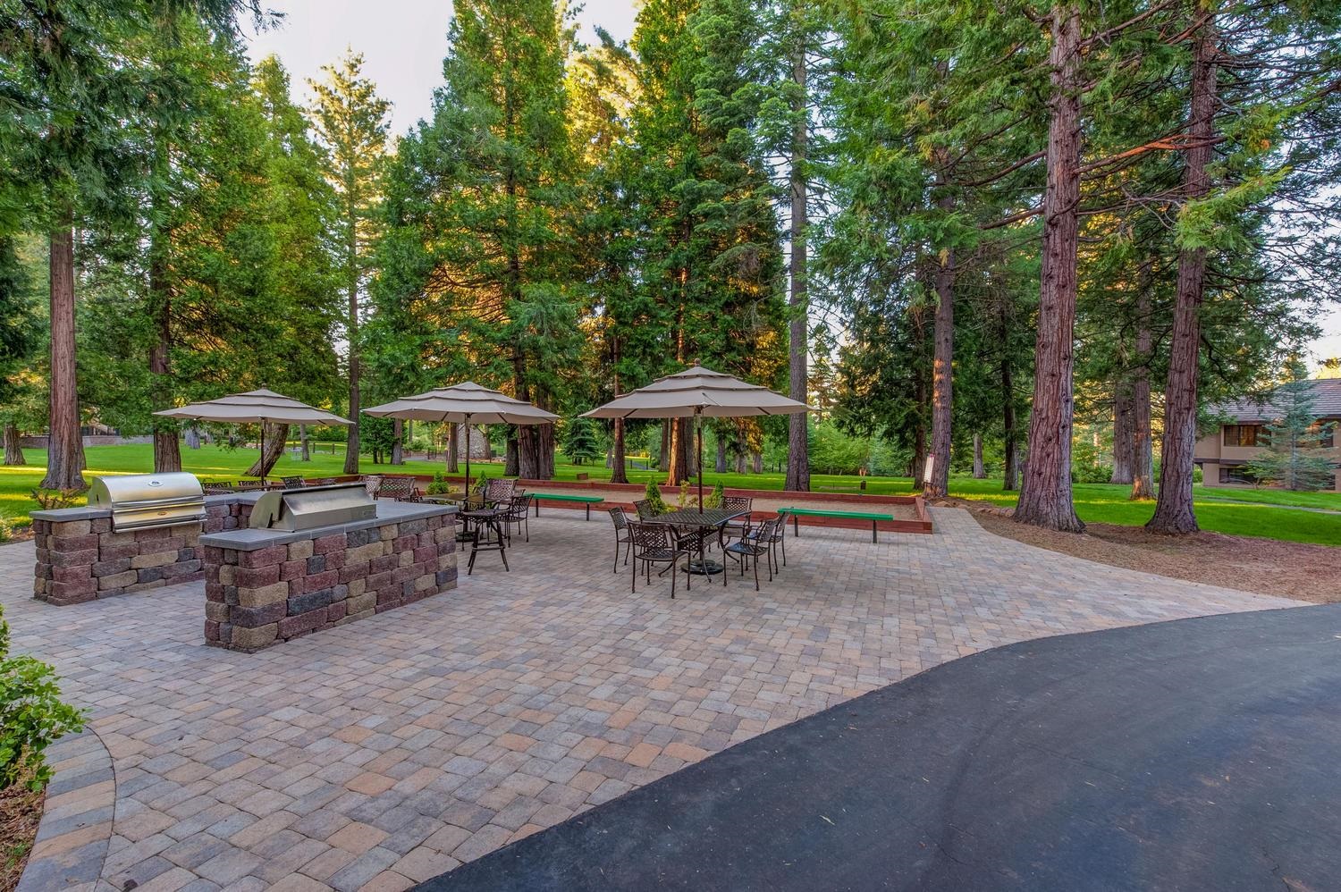 115 Foxhollow Drive, Lake Almanor, Texas image 11