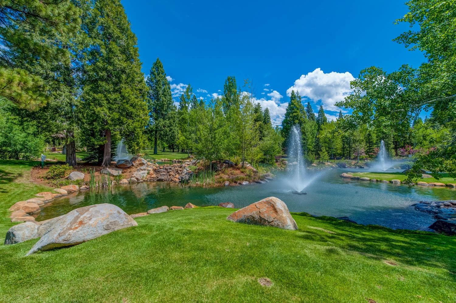 115 Foxhollow Drive, Lake Almanor, Texas image 7
