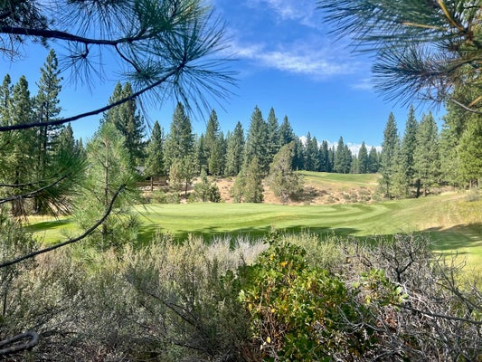358 SUNBURST, PORTOLA, CA 96122 - Image 2a7aa1def1fef00182291ed37cd59ff9/473131850