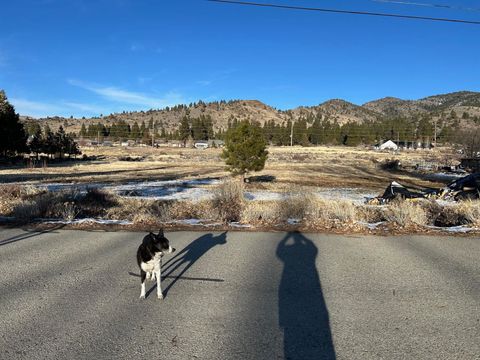 Vacant Land For Sale - 12 Wrangler Trail<br/> Loyalton, CA 96118