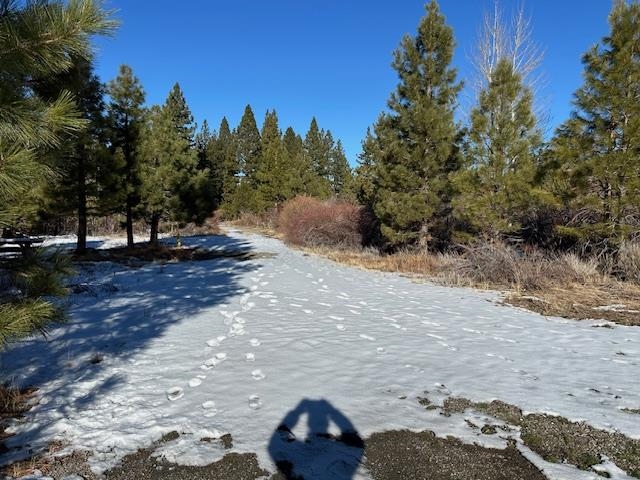 12 (?) Wrangler Trail, Loyalton, California image 24