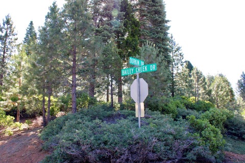 Vacant Land For Sale - 608 Durkin Drive Dr<br/> Lake Almanor, CA 96137