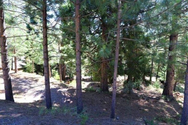 268 N Osprey Loop, Lake Almanor West, Ohio image 1