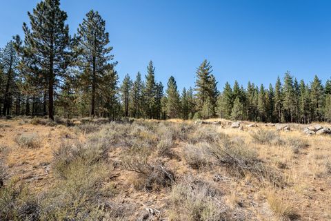 Vacant Land For Sale - 152 Otter Way Way<br/> Plumas County, Portola, CA 96122