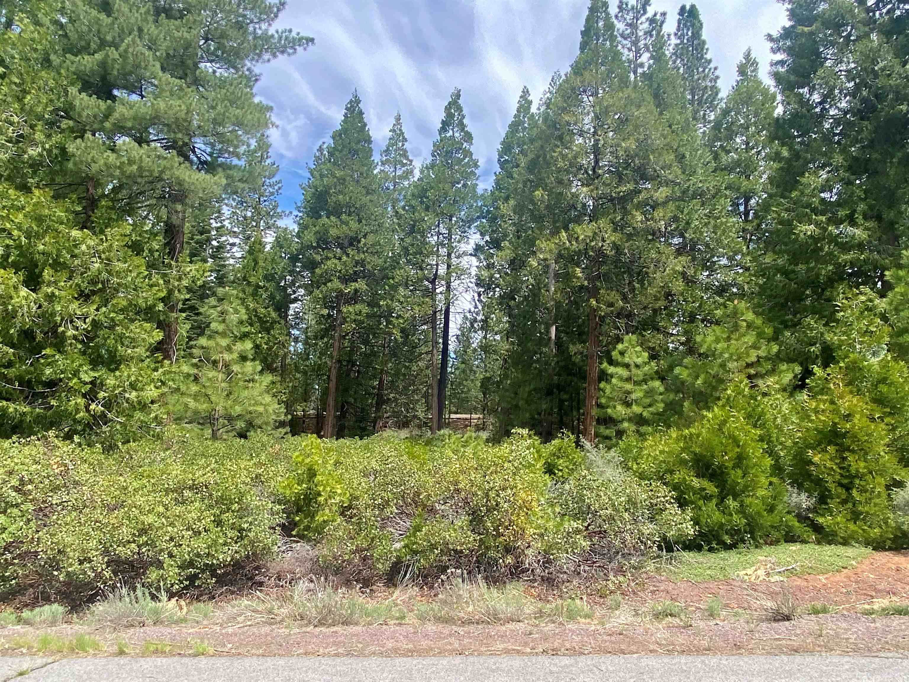 790 Red River Drive, Lake Almanor, Ohio image 4