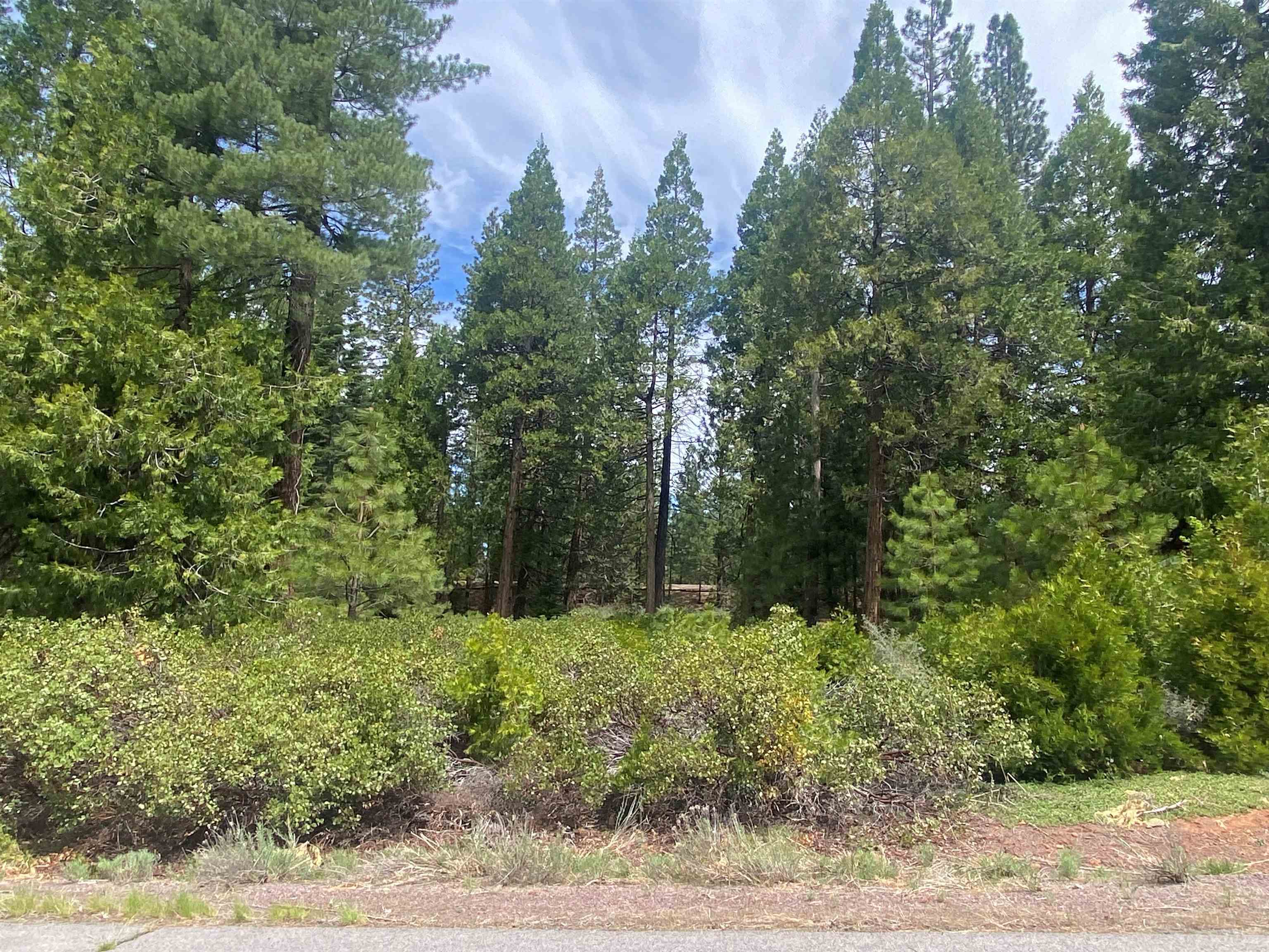 790 Red River Drive, Lake Almanor, Ohio image 1