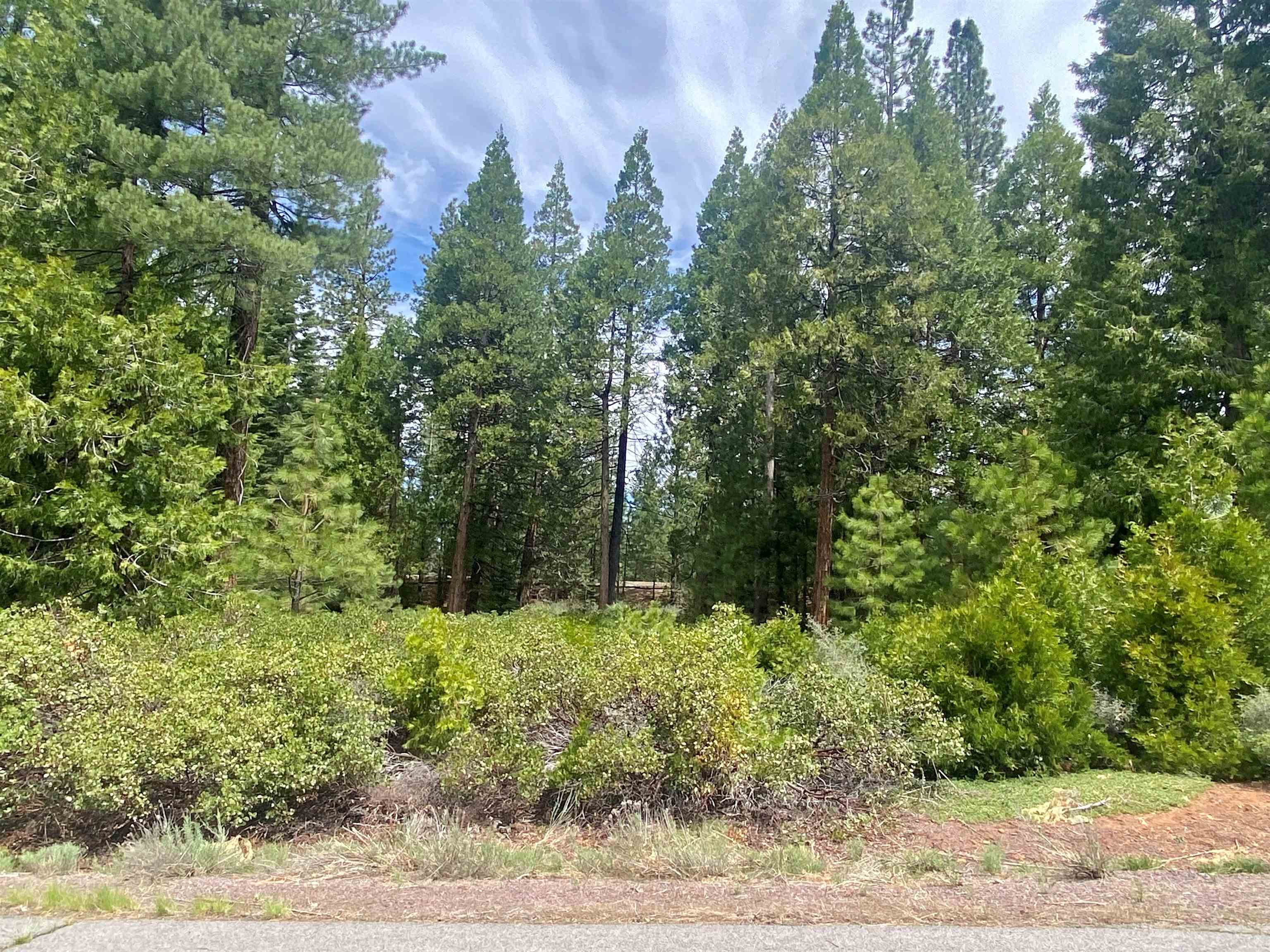 790 Red River Drive, Lake Almanor, Ohio image 3