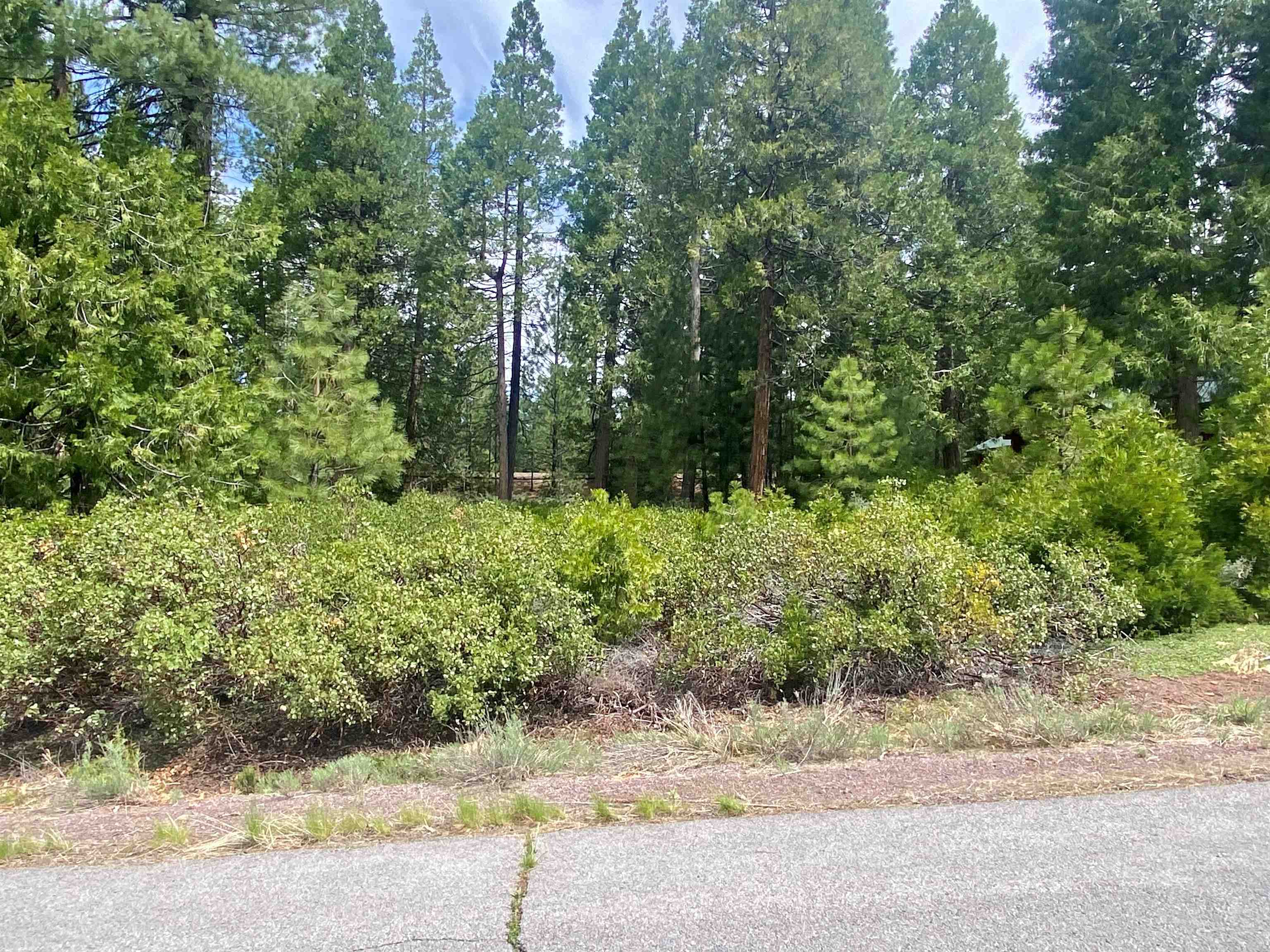 790 Red River Drive, Lake Almanor, Ohio image 2